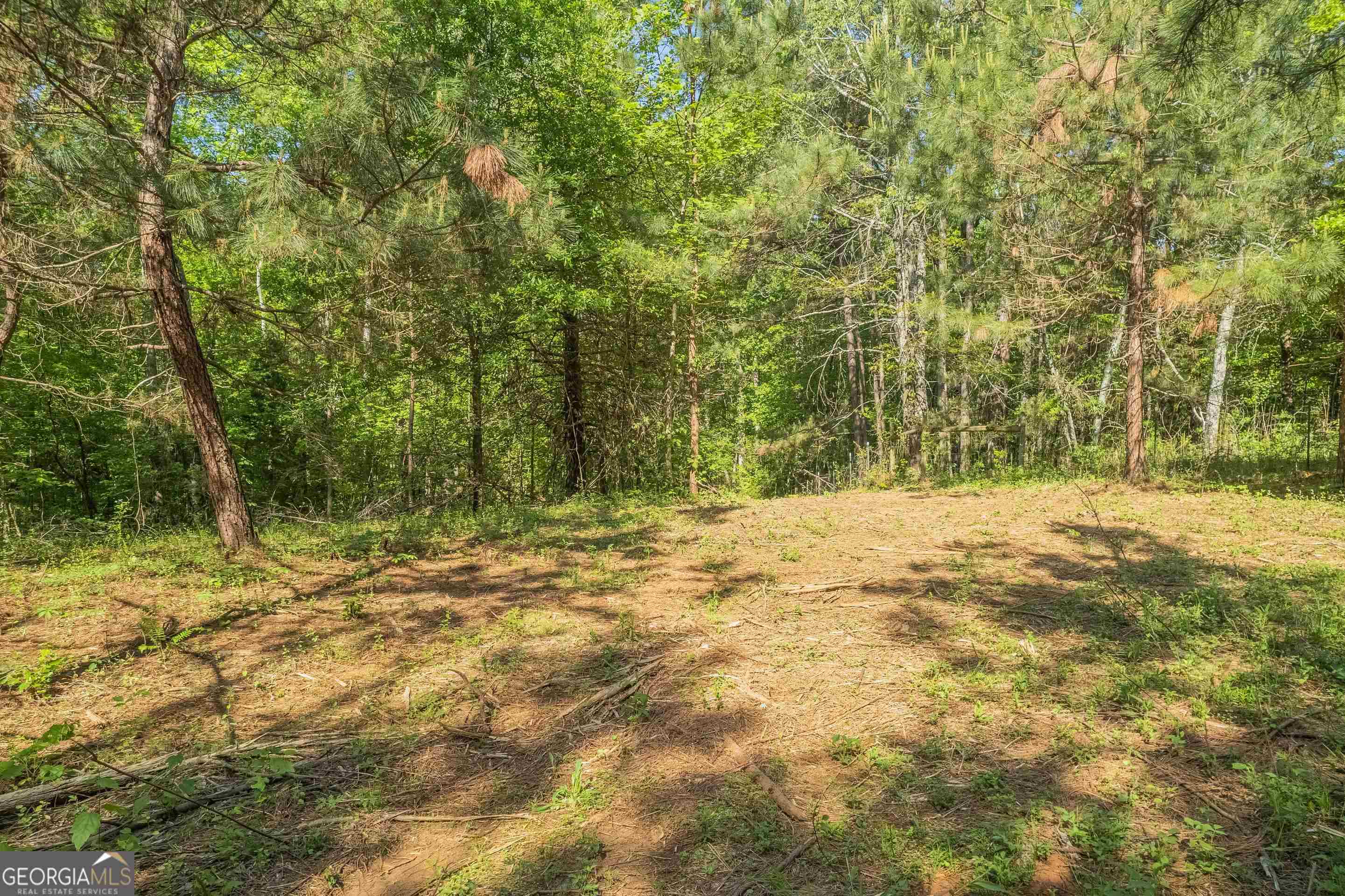 0 Old Mize Road Toccoa, GA 30577 - Photo 8 of 21