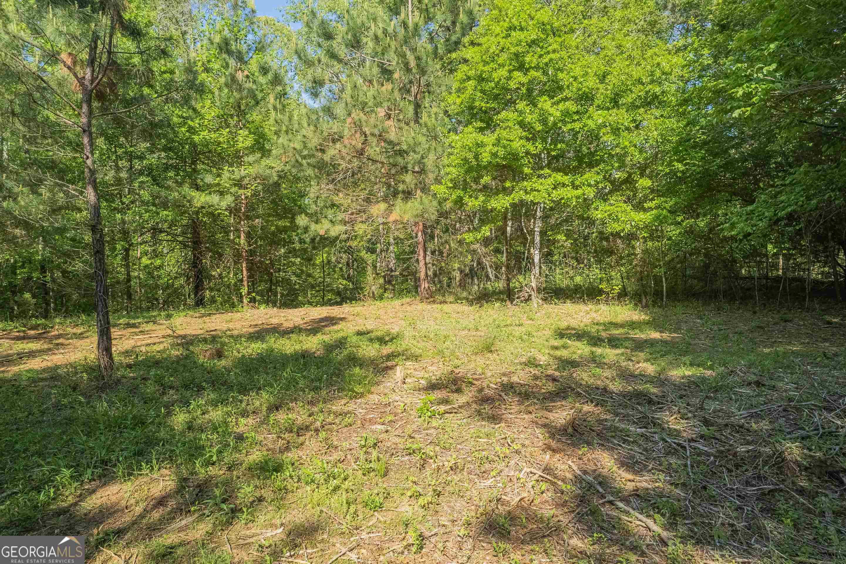 0 Old Mize Road Toccoa, GA 30577 - Photo 9 of 21 a view of outdoor space and yard