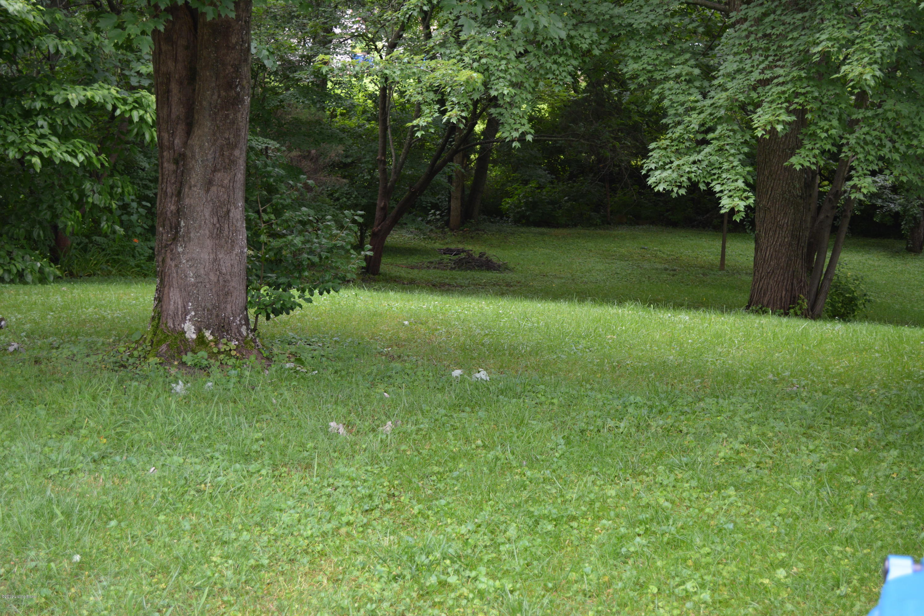 8223 Delido Road Louisville, KY 40219 - Photo 52 of 64 DSC_1608