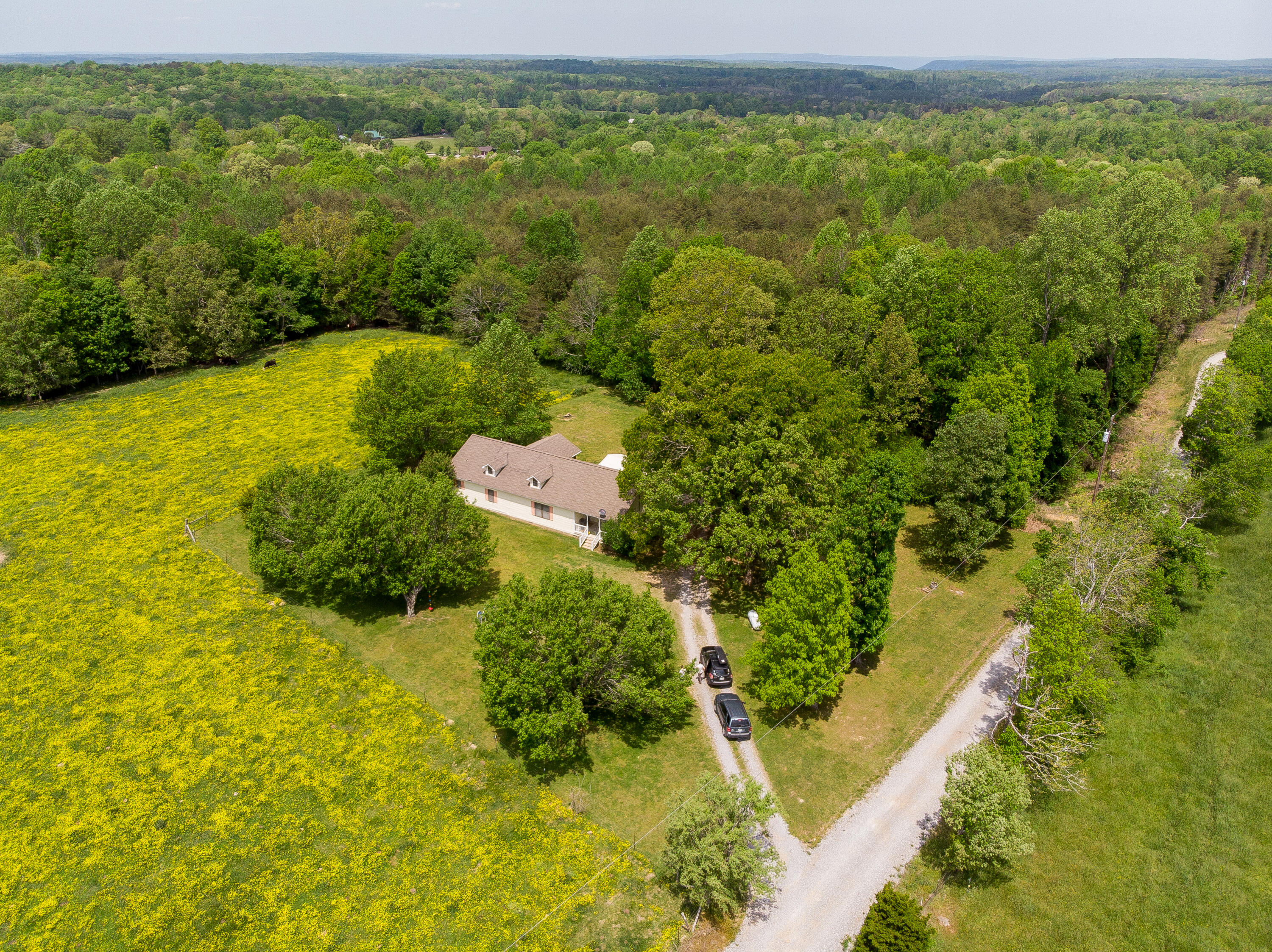 361 Frank Gass Road Trenton, GA 30752 - Photo 8 of 38 Frank Gas Drone-1
