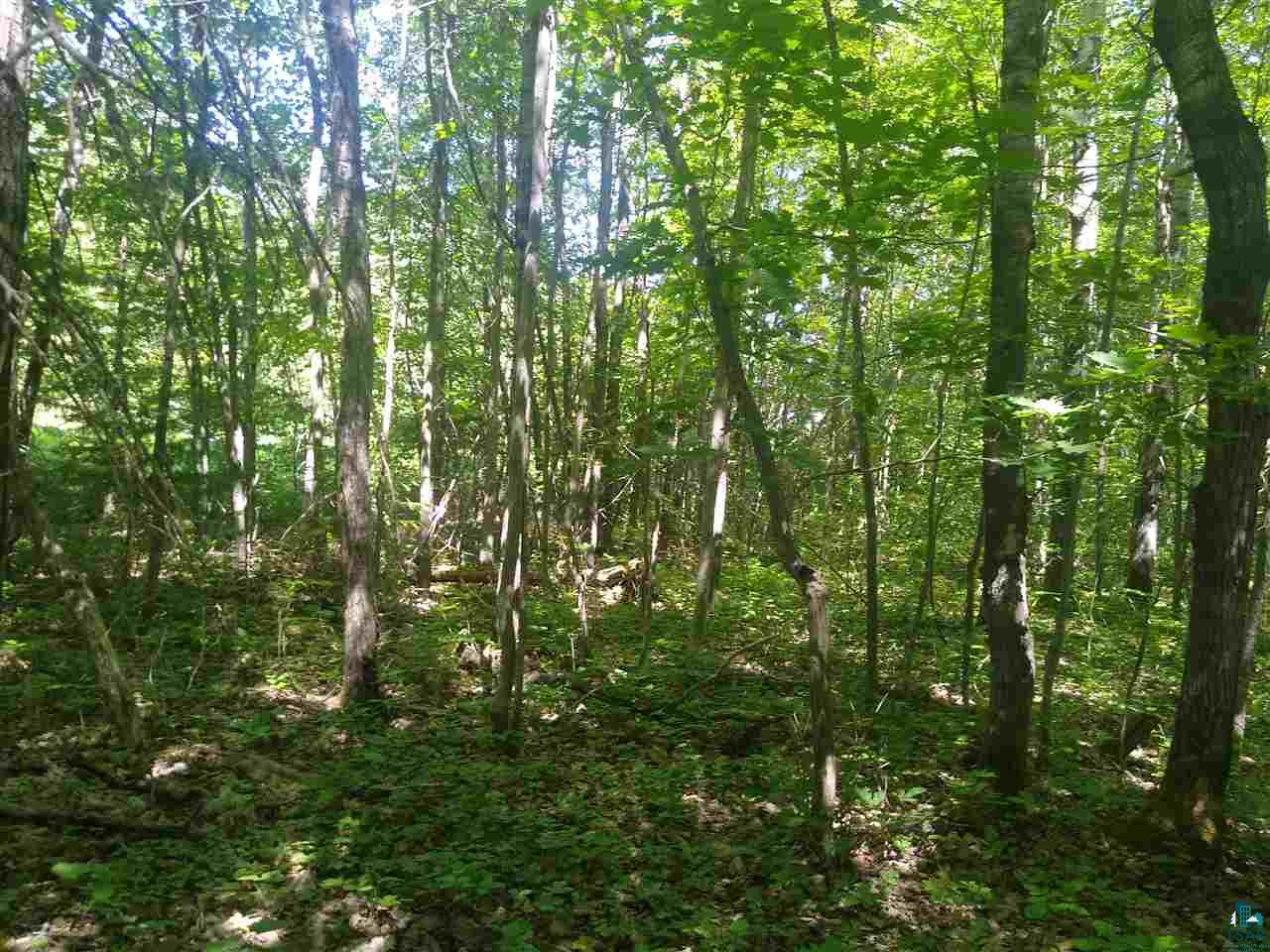 Xxx Wannebo Road Washburn, WI 54891 - Photo 12 of 13 Gallery Image 12