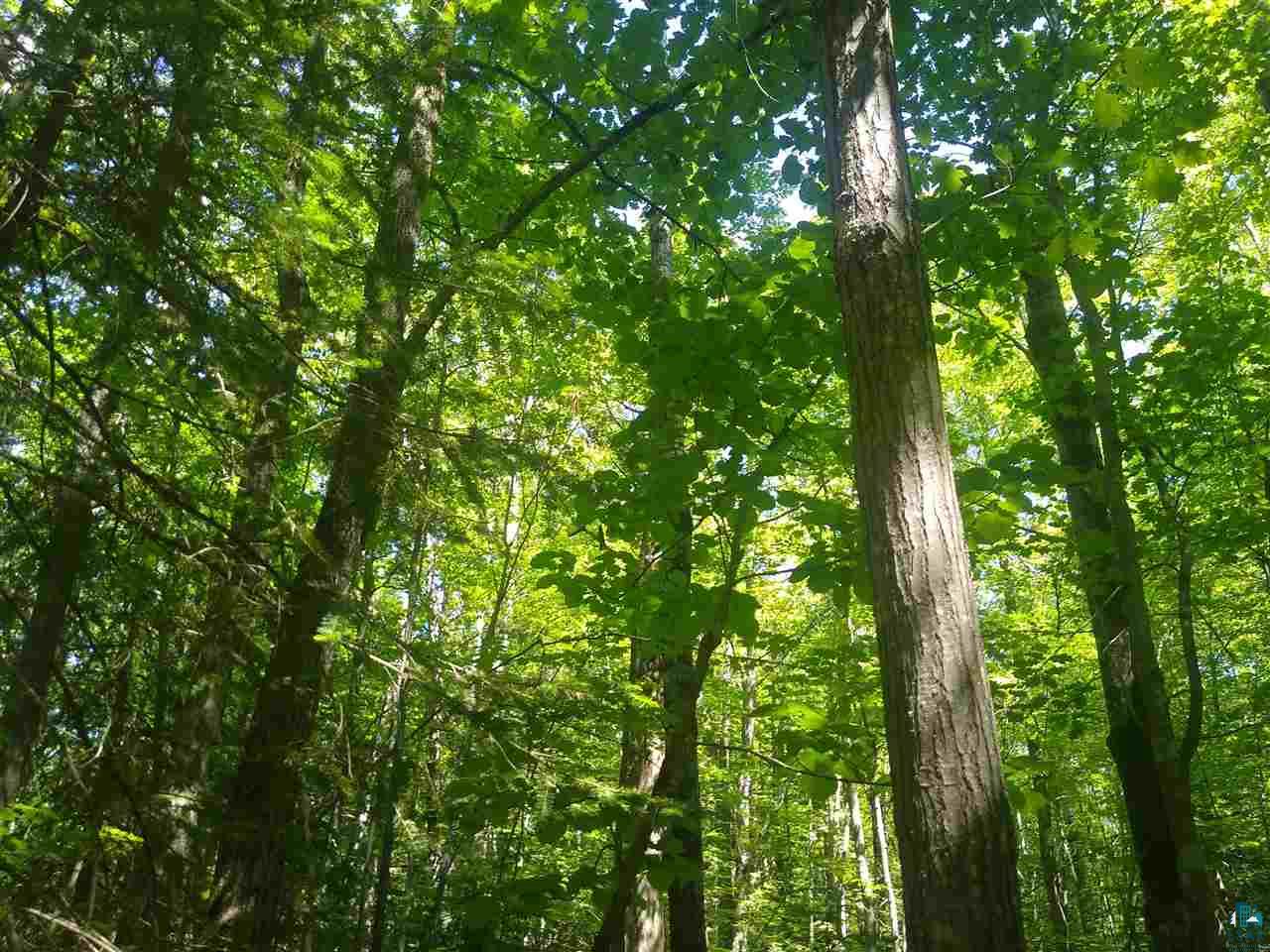 Xxx Wannebo Road Washburn, WI 54891 - Photo 2 of 13 Gallery Image 2