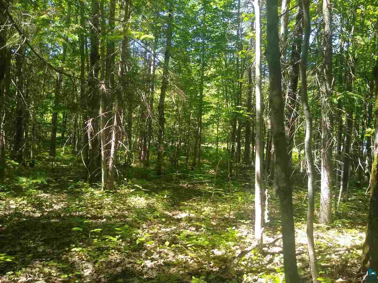 Xxx Wannebo Road Washburn, WI 54891 - Photo 3 of 13 Gallery Image 3