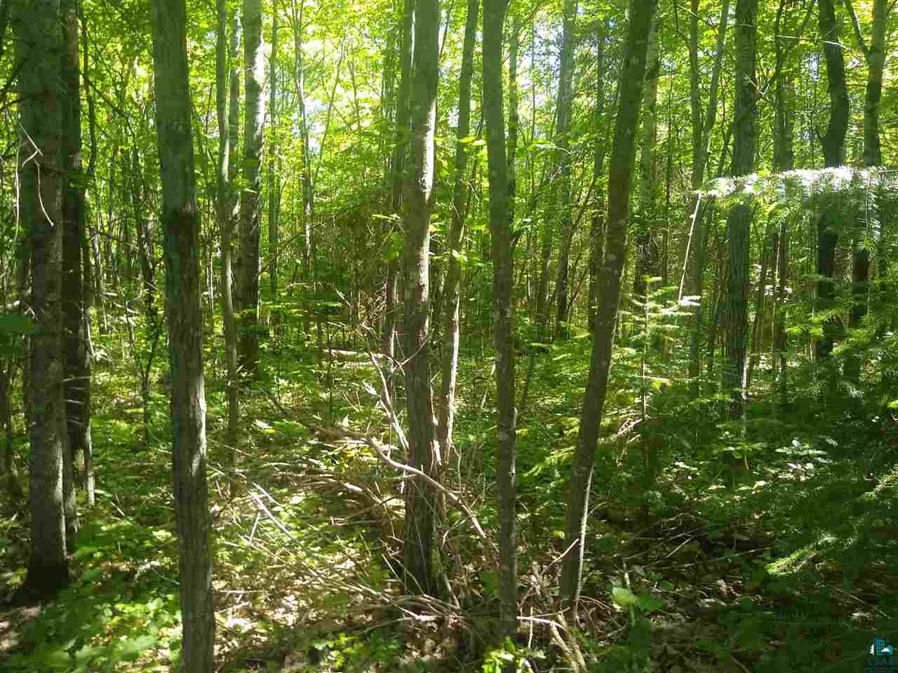 Xxx Wannebo Road Washburn, WI 54891 - Photo 4 of 13 Gallery Image 4