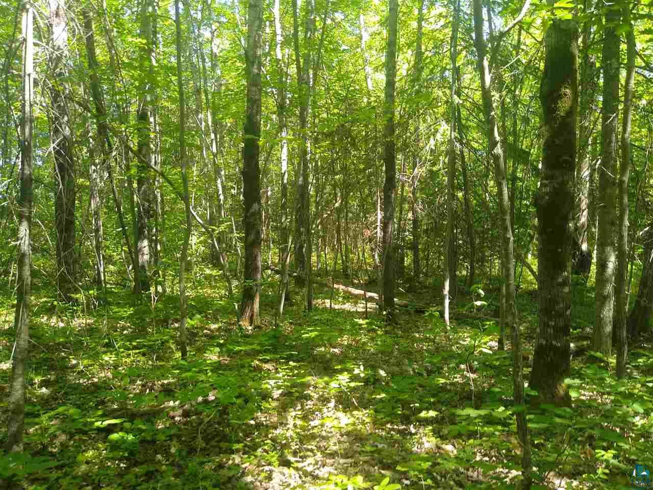 Xxx Wannebo Road Washburn, WI 54891 - Photo 5 of 13 Gallery Image 5