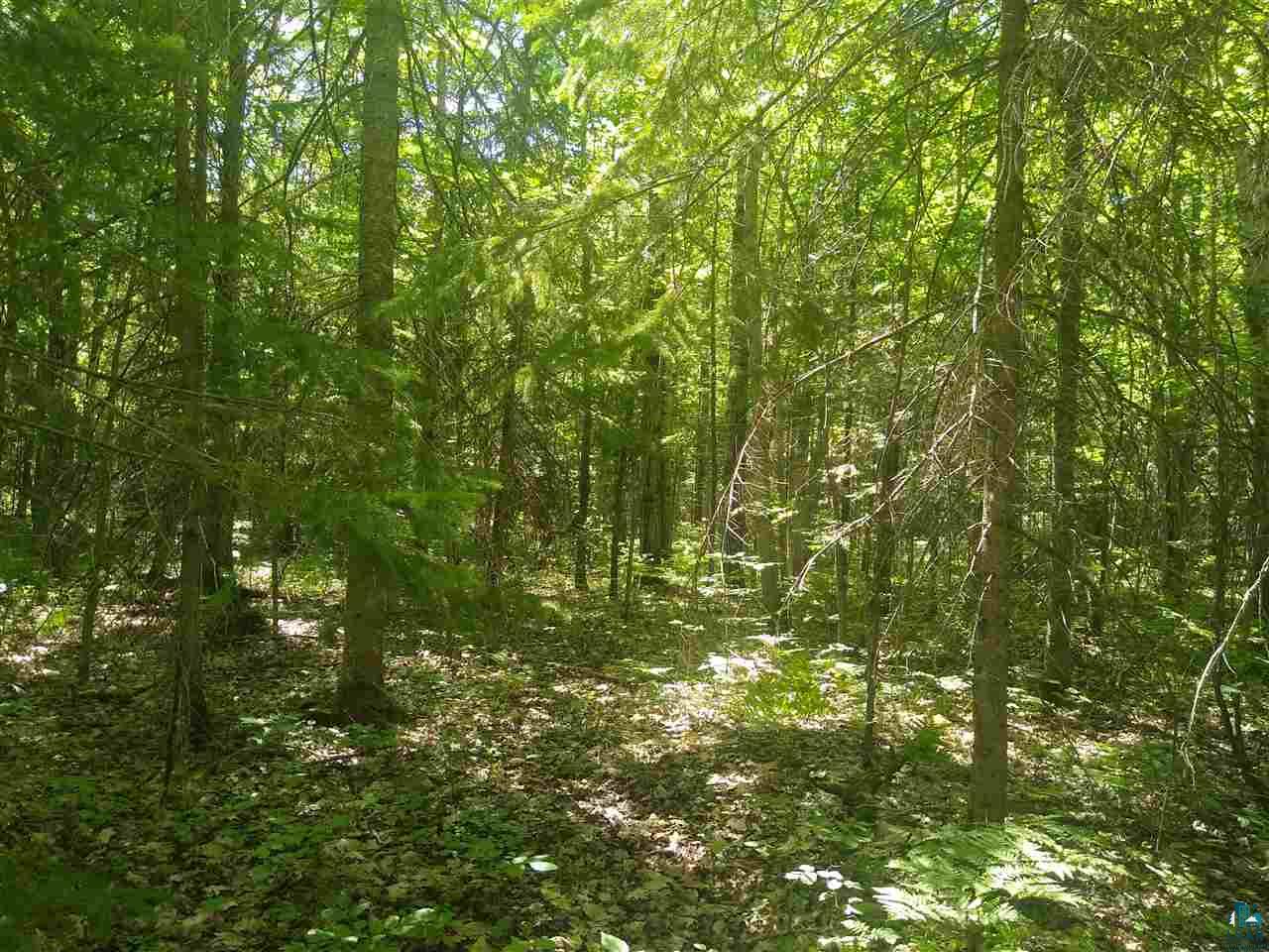 Xxx Wannebo Road Washburn, WI 54891 - Photo 8 of 13 Gallery Image 8