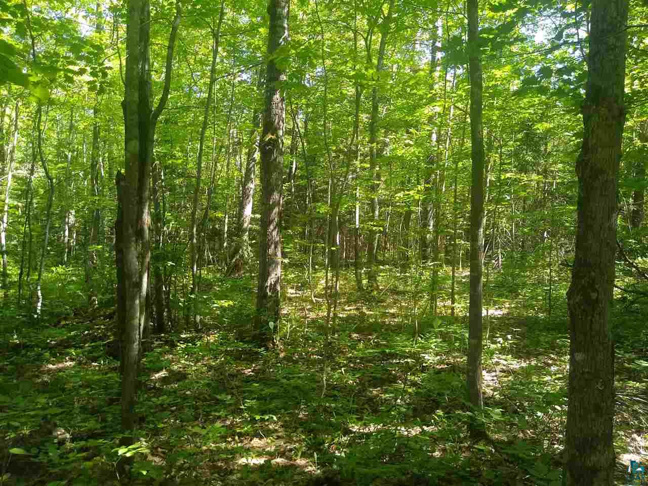 Xxx Wannebo Road Washburn, WI 54891 - Photo 9 of 13 Gallery Image 9
