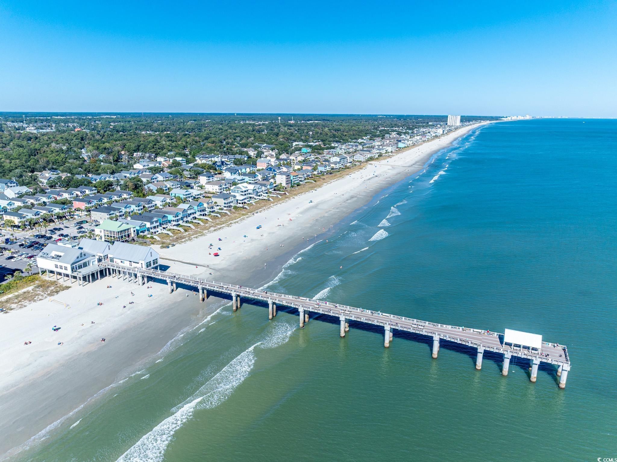 1210 North Ocean Boulevard, Unit 203 Surfside Beach, SC 29575 - Photo 27 of 27 Aerial view of unending shoreline