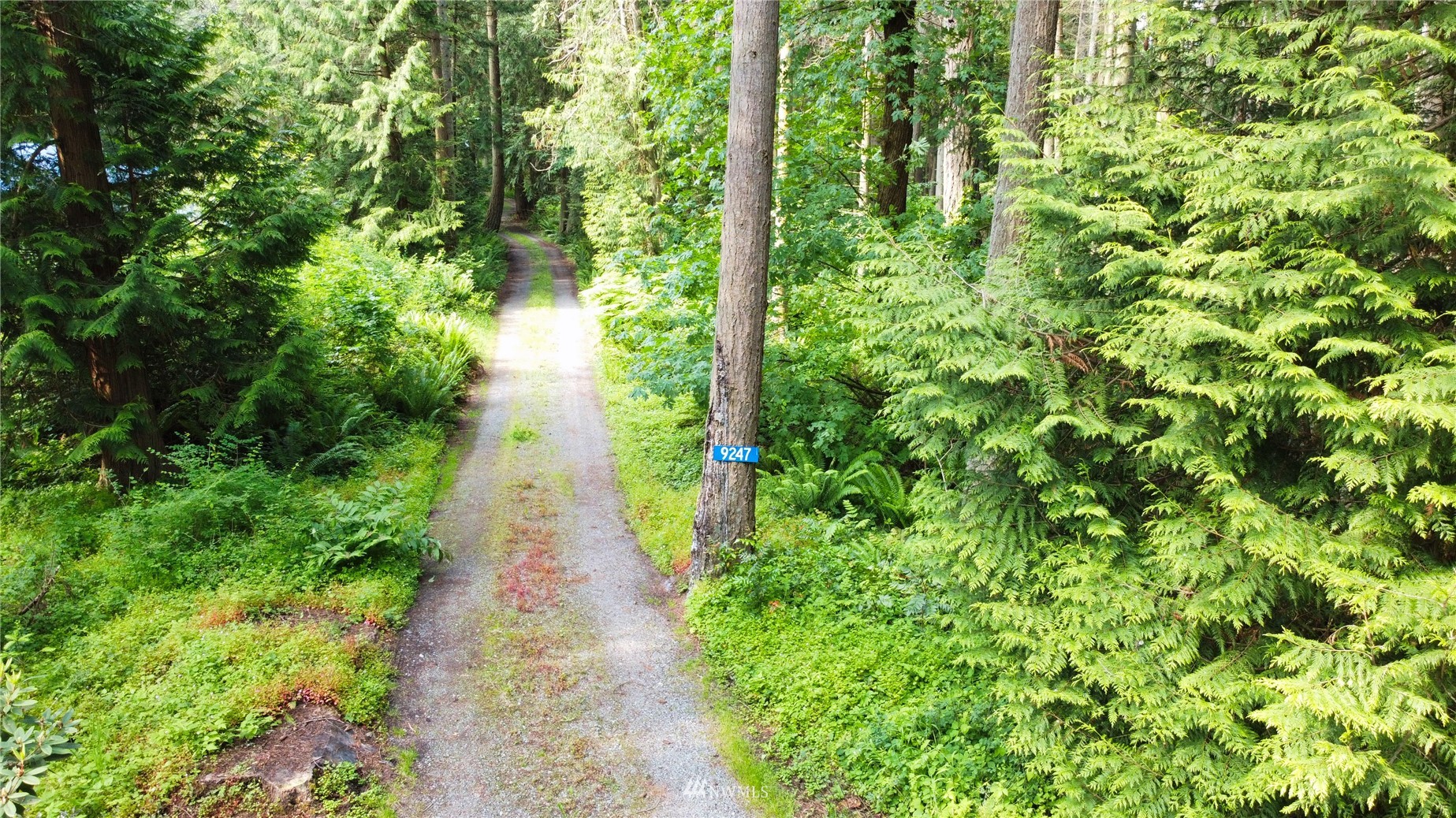 9247 Marshall Road Bow, WA 98232 - Photo 3 of 36 Gallery Image 3