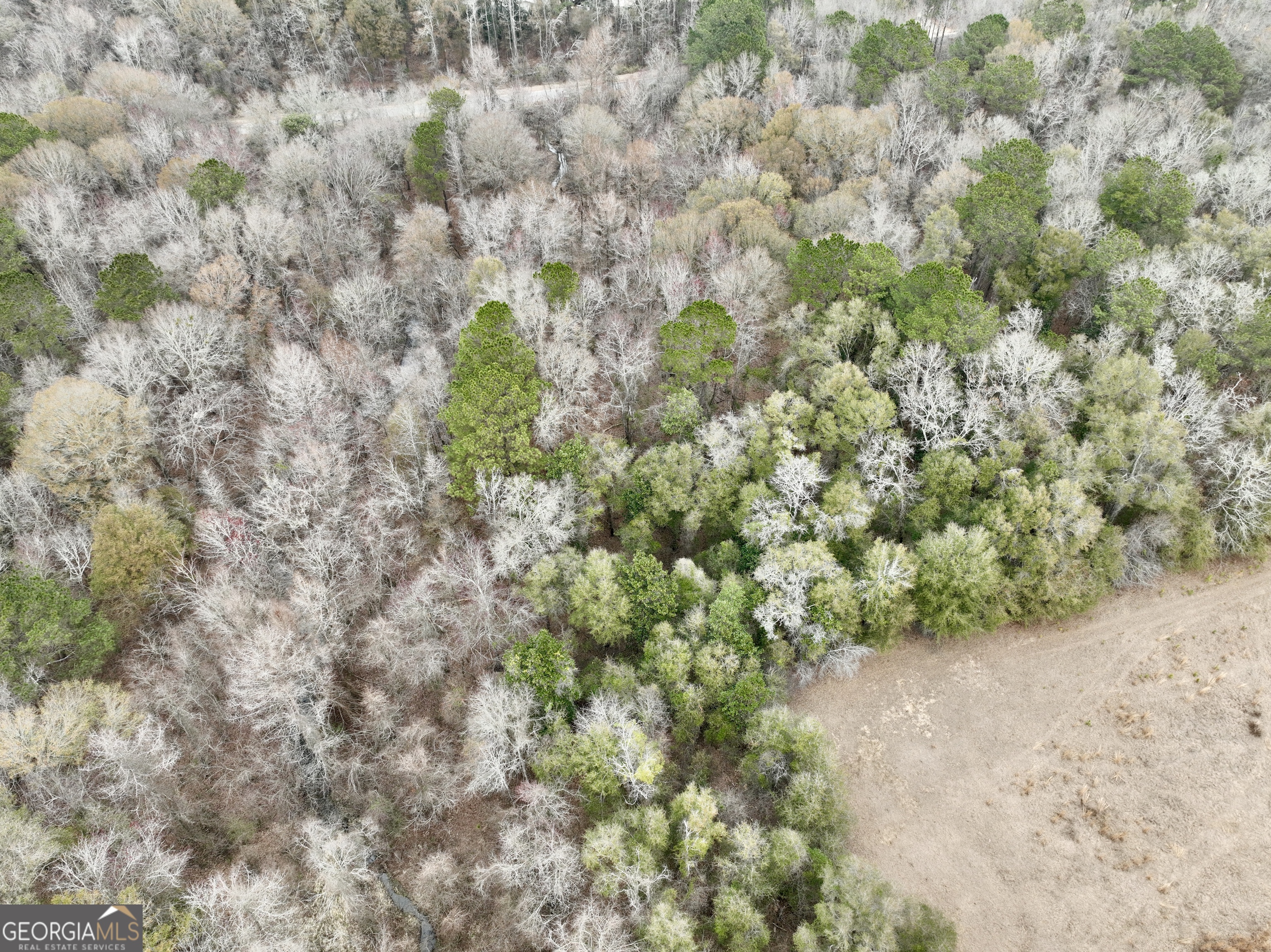 1900 Highway 27 Vienna, GA 31092 - Photo 13 of 55