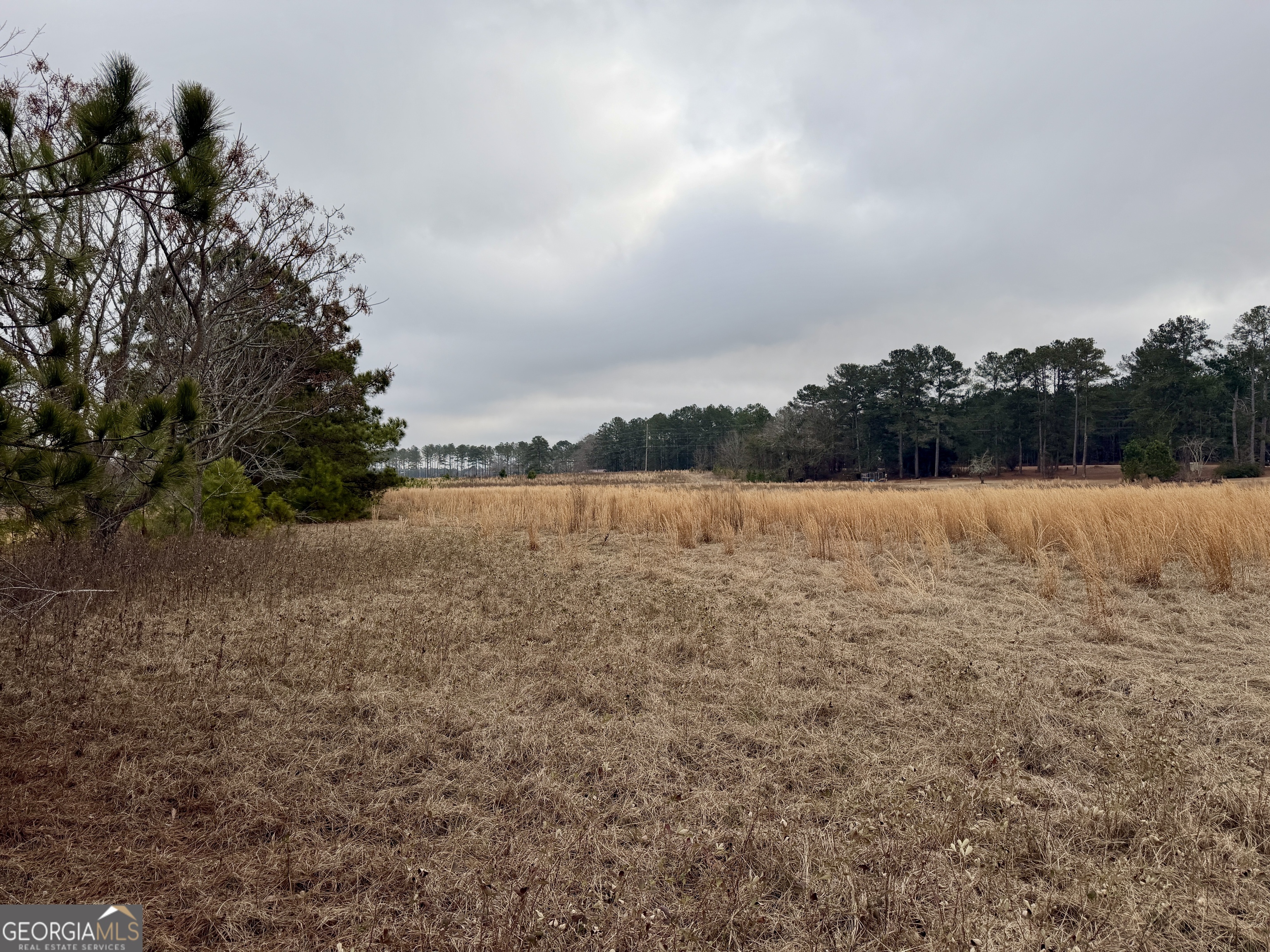 1900 Highway 27 Vienna, GA 31092 - Photo 42 of 55