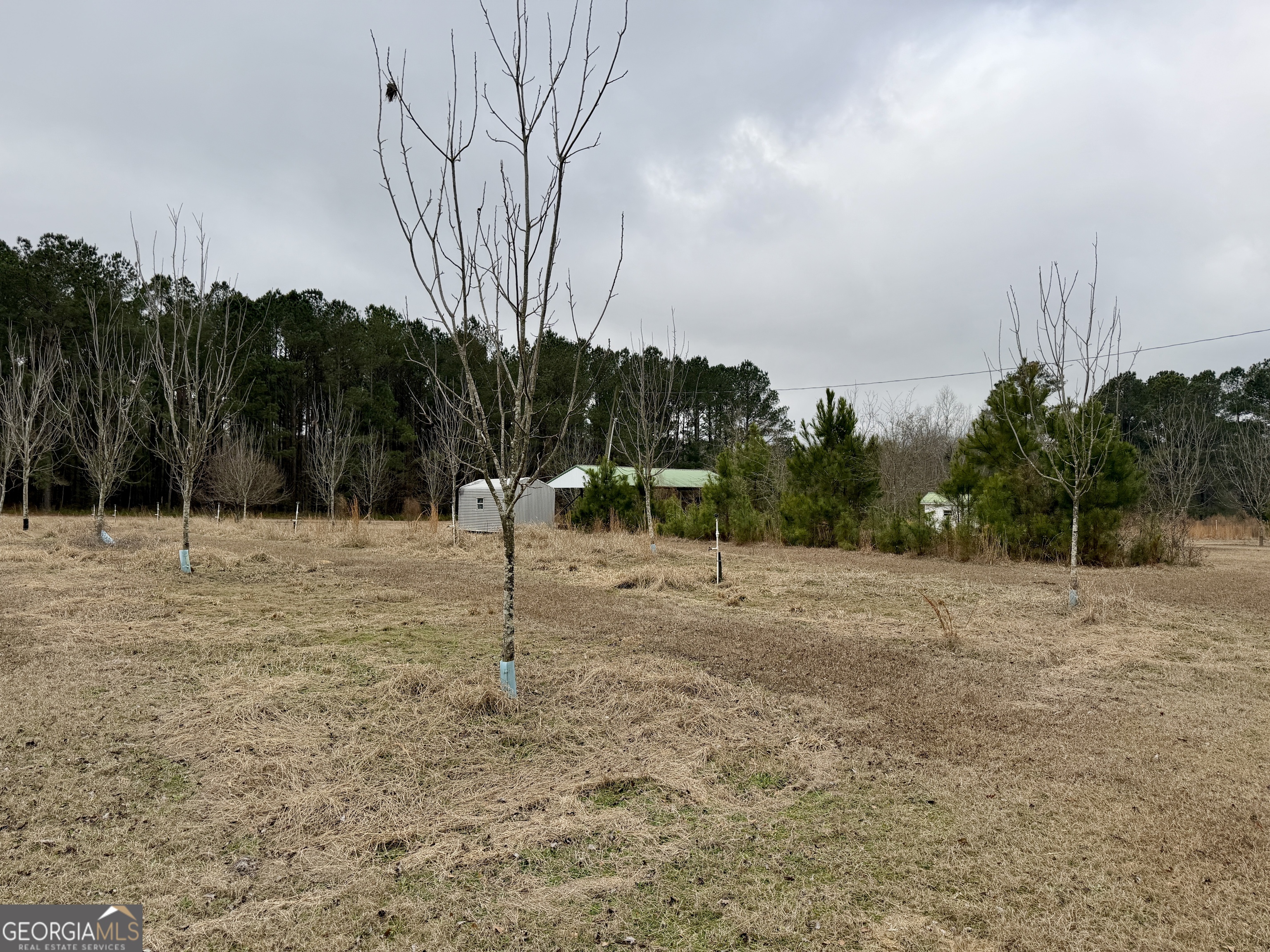 1900 Highway 27 Vienna, GA 31092 - Photo 46 of 55