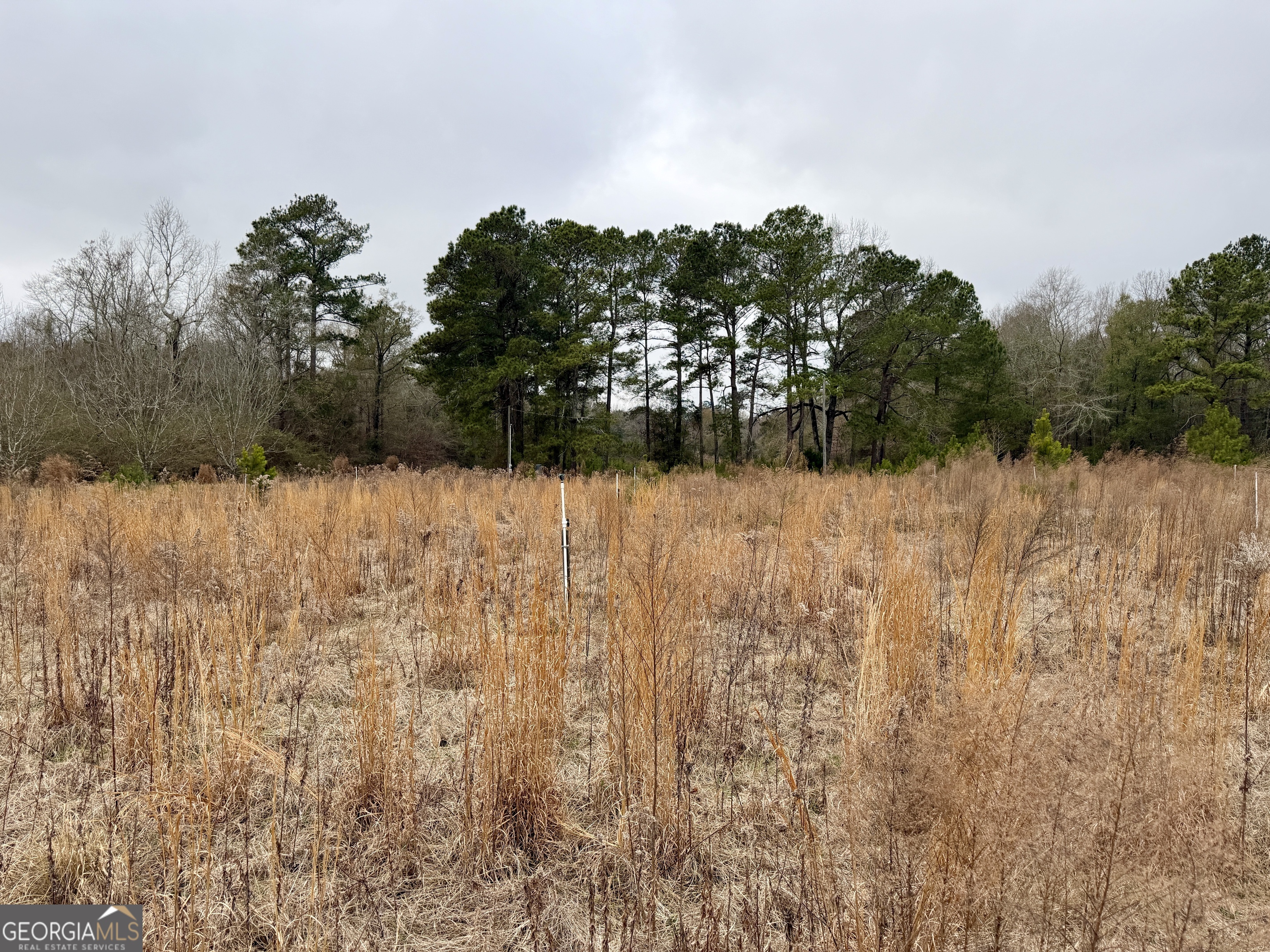 1900 Highway 27 Vienna, GA 31092 - Photo 51 of 55