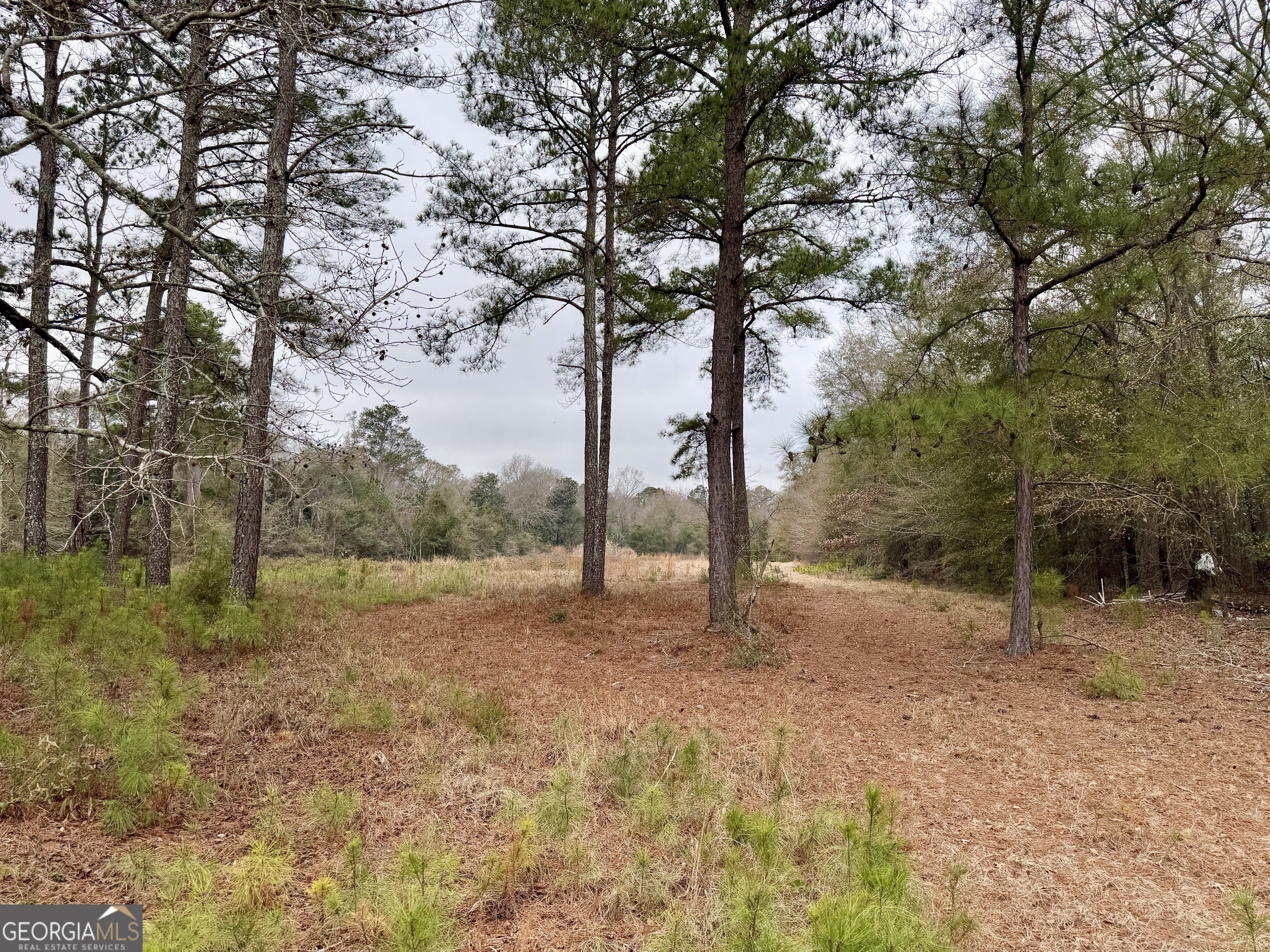 1900 Highway 27 Vienna, GA 31092 - Photo 54 of 55