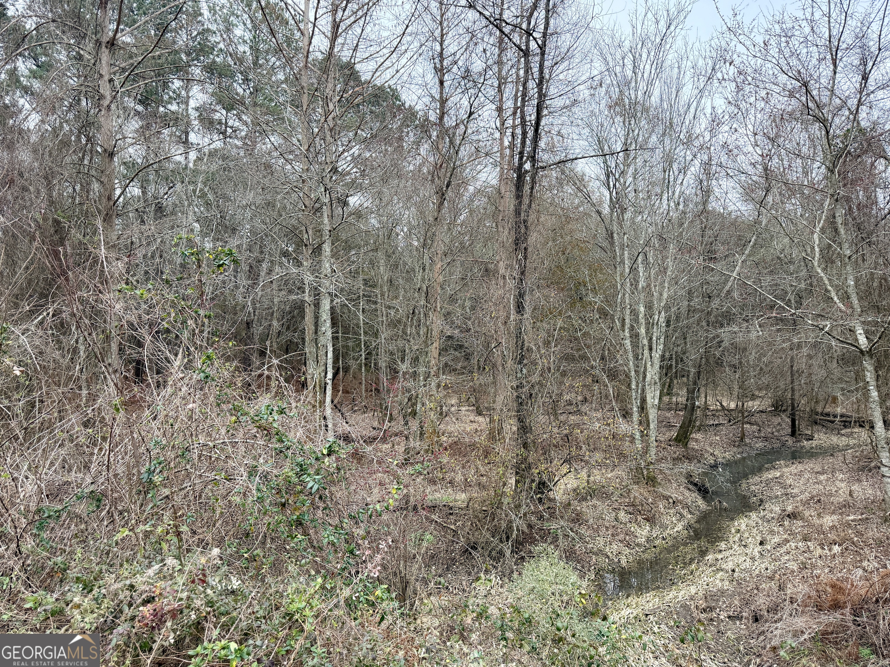 1900 Highway 27 Vienna, GA 31092 - Photo 9 of 55