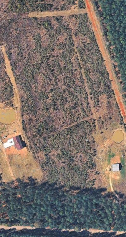 2590 Bodcau Dam Road Benton, LA 71006 - Photo 3 of 3