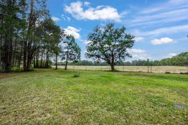 a view of a patio with table and chairs potted plants with large tree