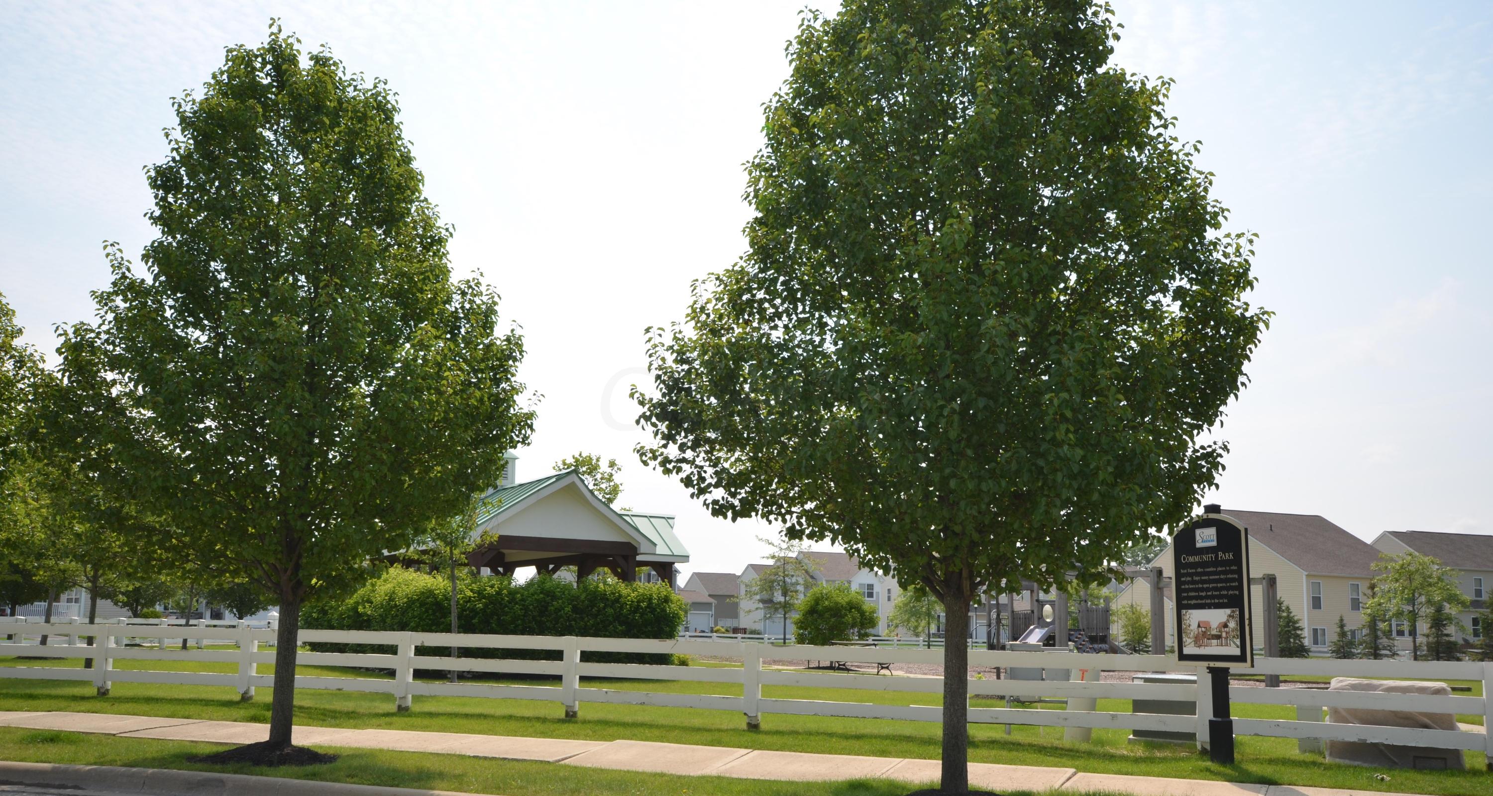 354 Shellbark Road Marysville, OH 43040 - Photo 47 of 49 Gallery Image 47
