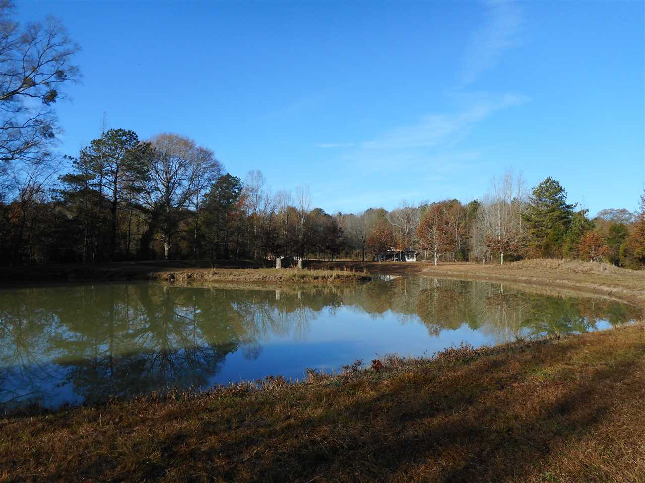 0 Munn Road Hickory, MS 39332 - Photo 11 of 49 Photo 12
