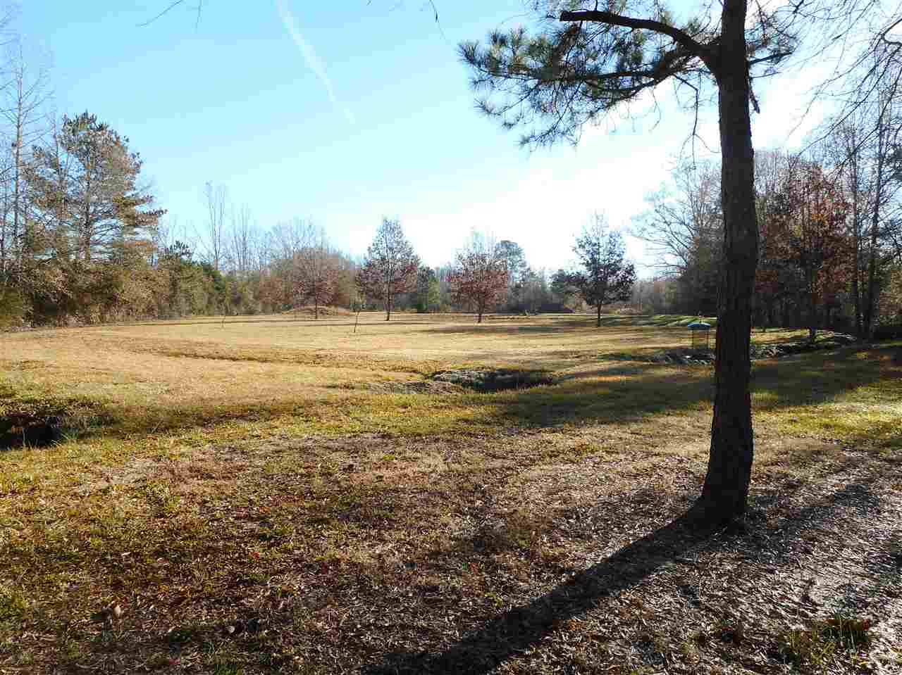 0 Munn Road Hickory, MS 39332 - Photo 17 of 49 Photo 18