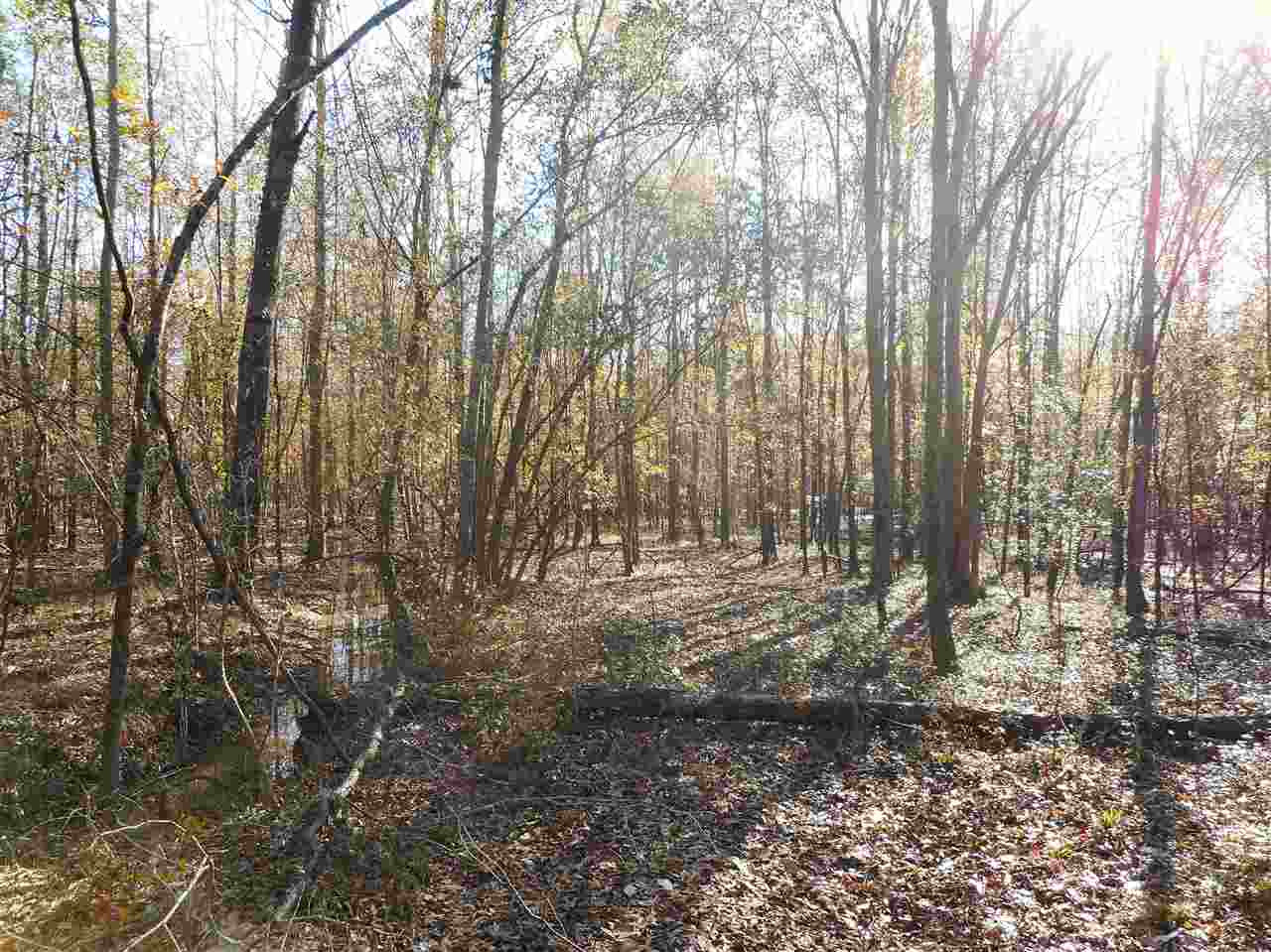 0 Munn Road Hickory, MS 39332 - Photo 27 of 49 Photo 28