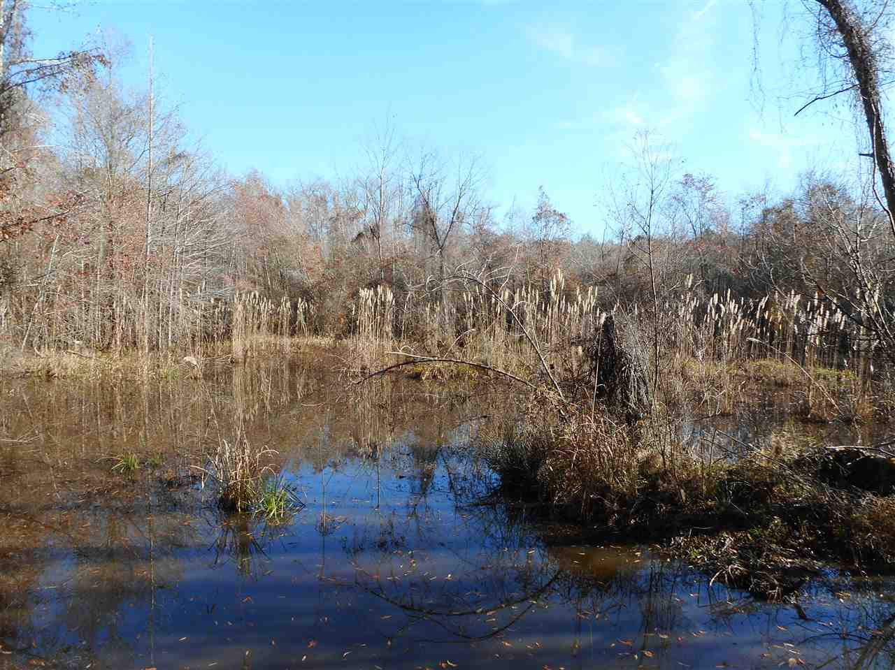 0 Munn Road Hickory, MS 39332 - Photo 28 of 49 Photo 29