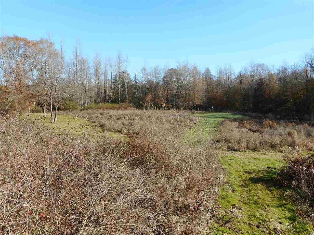 0 Munn Road Hickory, MS 39332 - Photo 3 of 49 Photo 4