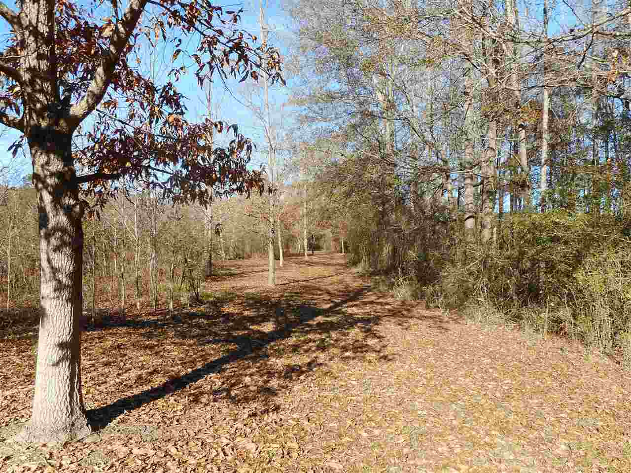0 Munn Road Hickory, MS 39332 - Photo 38 of 49 Photo 39
