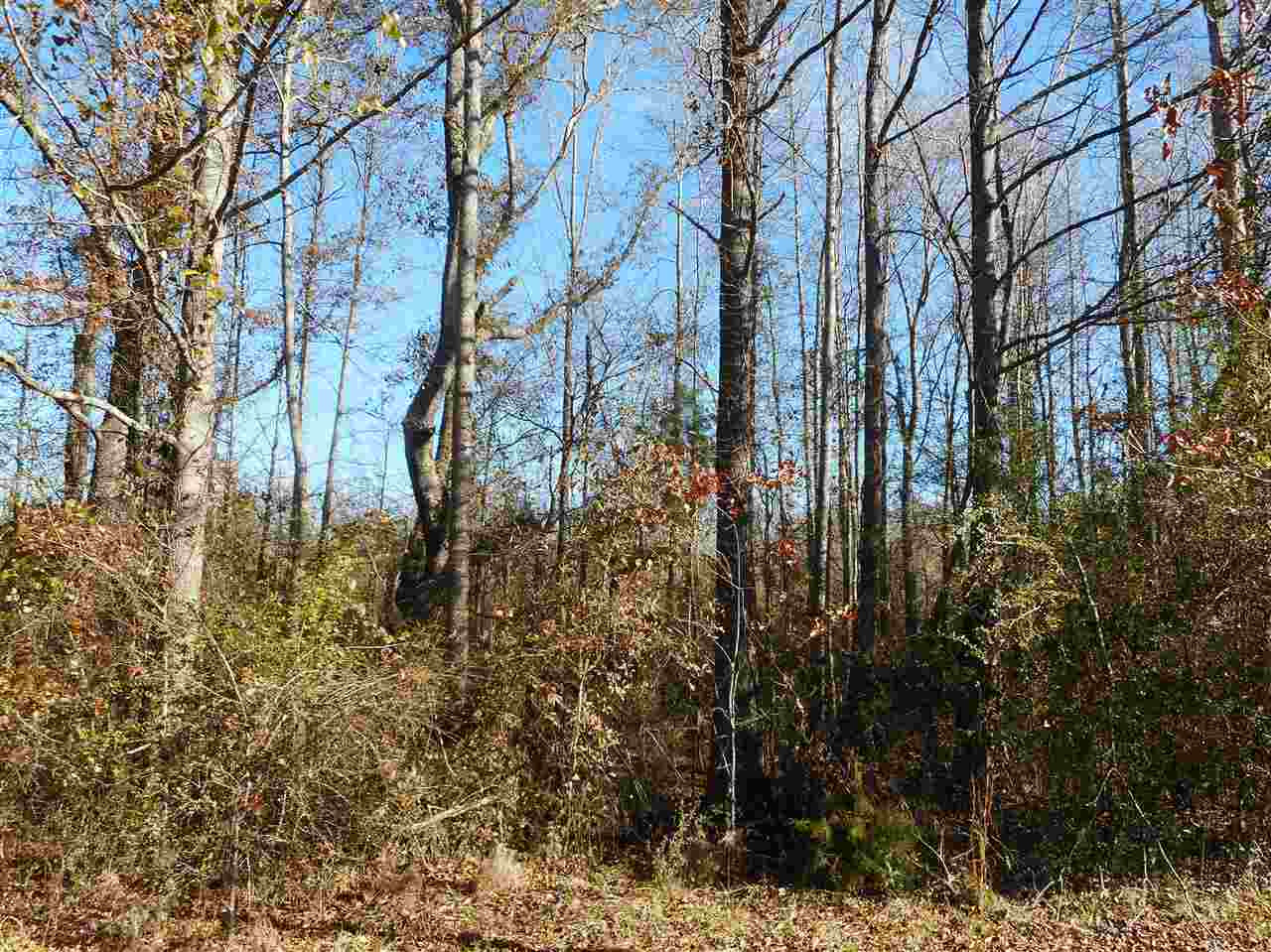 0 Munn Road Hickory, MS 39332 - Photo 39 of 49 Photo 40