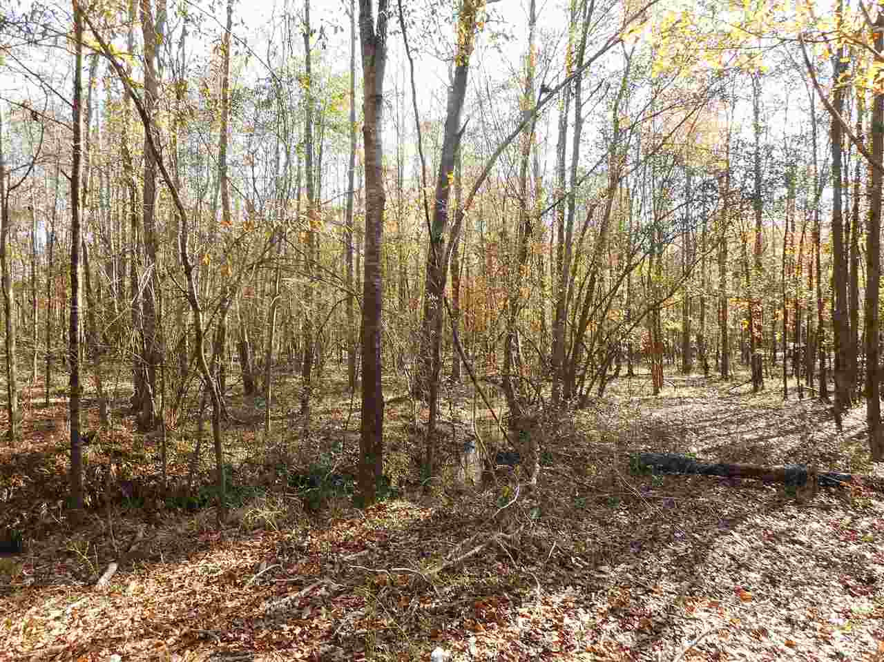 0 Munn Road Hickory, MS 39332 - Photo 4 of 49 Photo 5