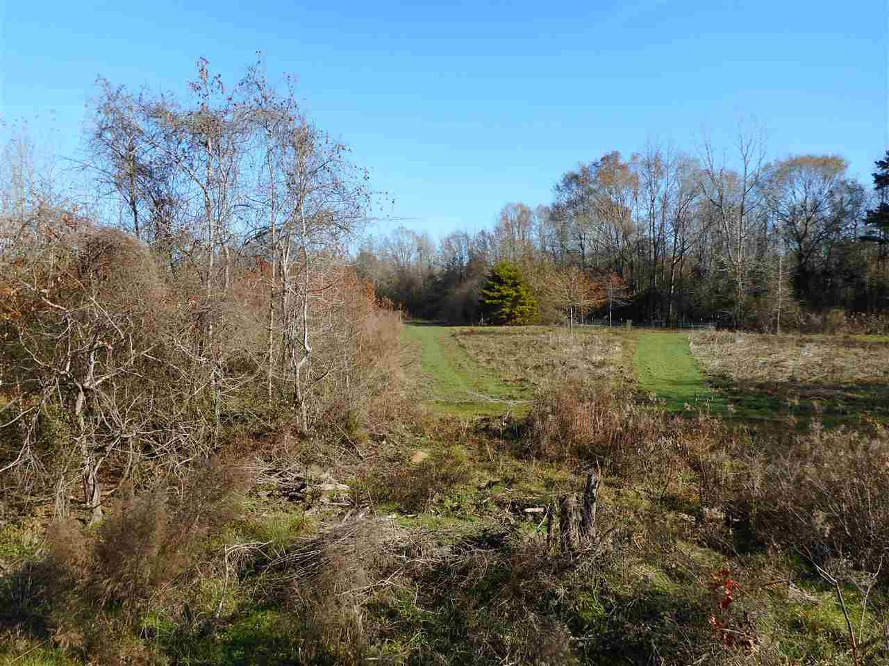 0 Munn Road Hickory, MS 39332 - Photo 48 of 49 Photo 49