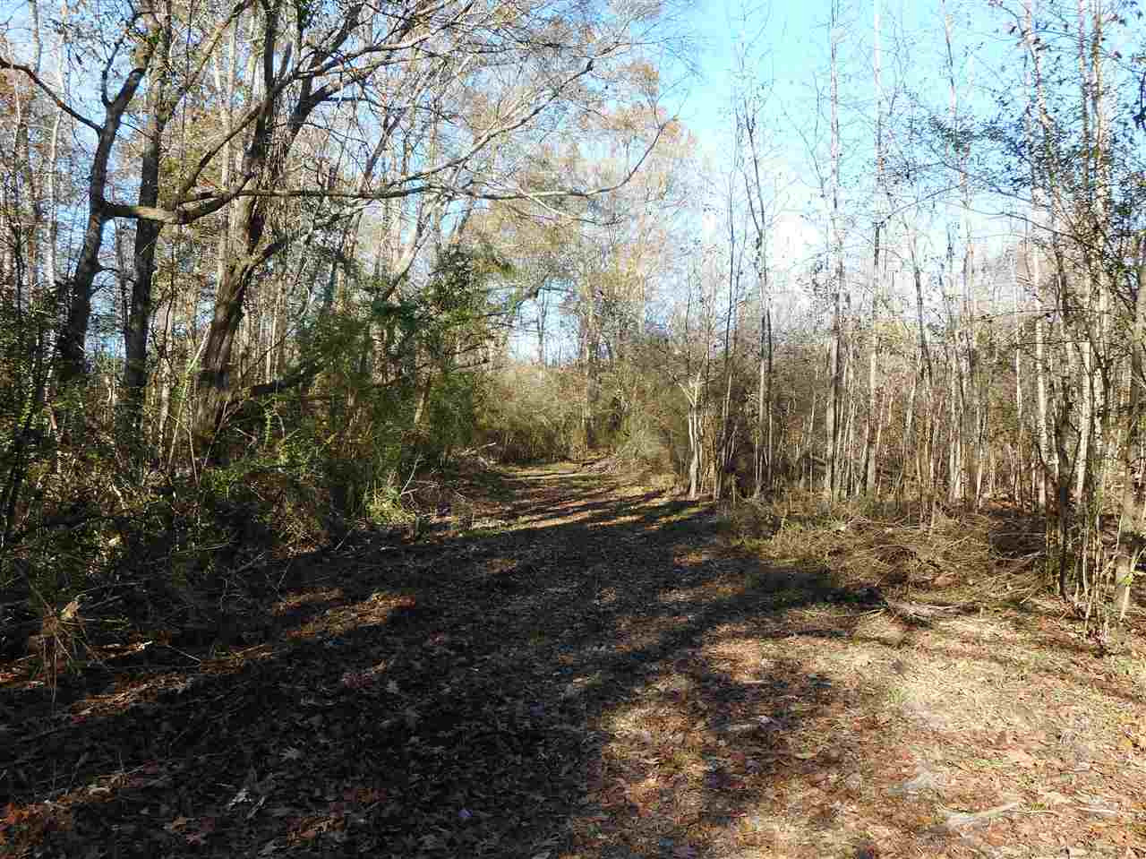 0 Munn Road Hickory, MS 39332 - Photo 49 of 49 Photo 50