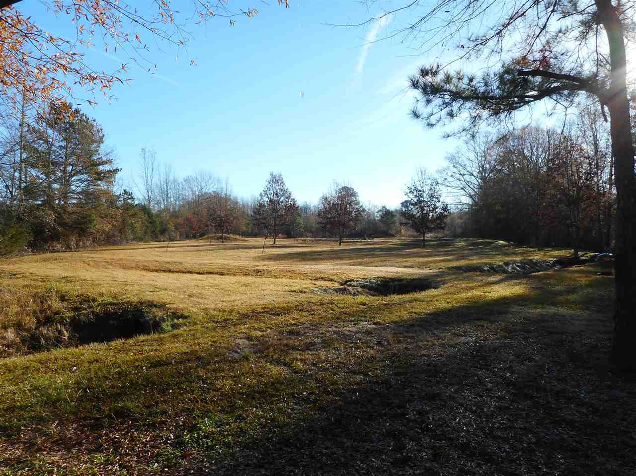 0 Munn Road Hickory, MS 39332 - Photo 6 of 49 Photo 7