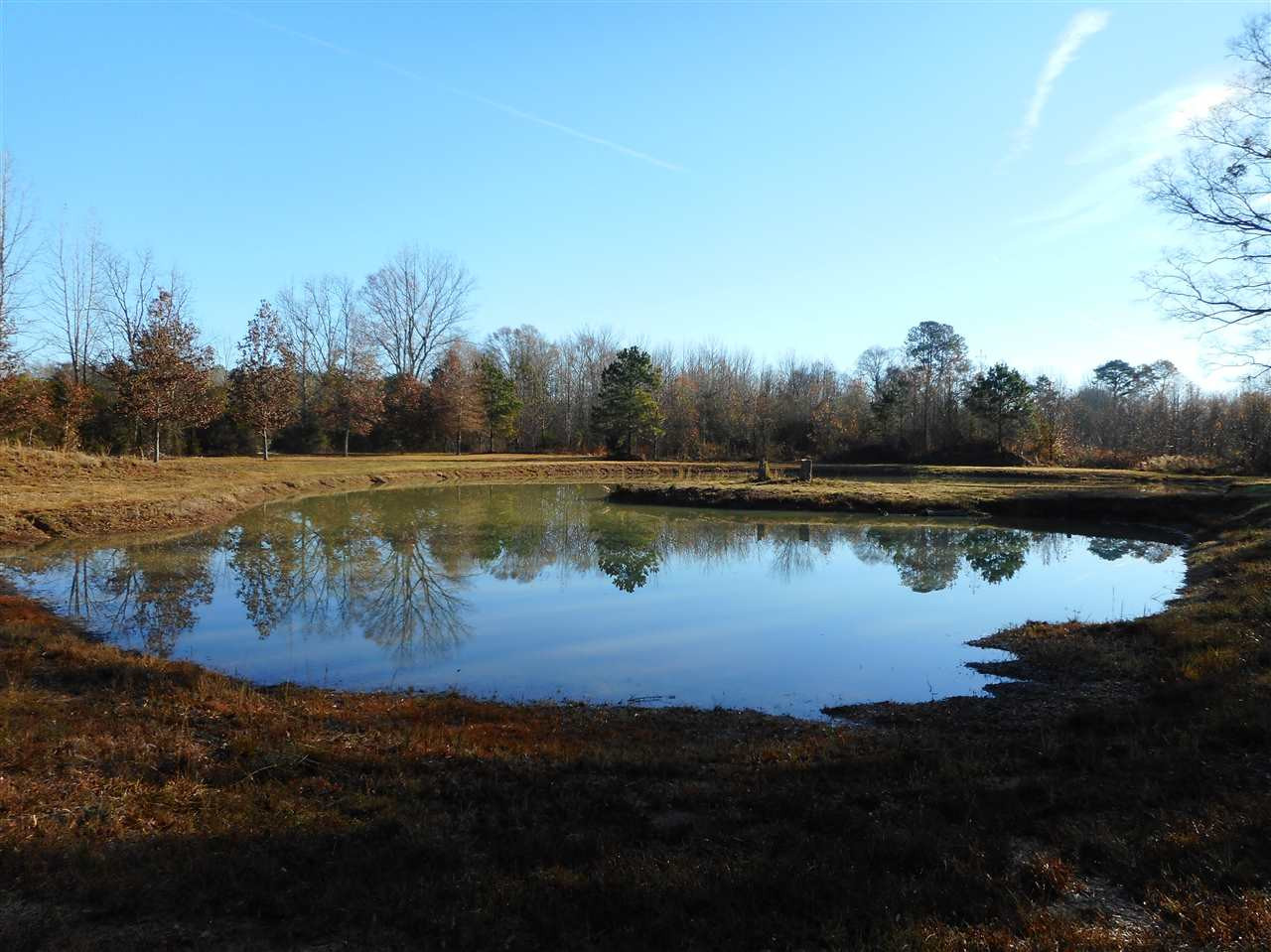 0 Munn Road Hickory, MS 39332 - Photo 8 of 49 Photo 9