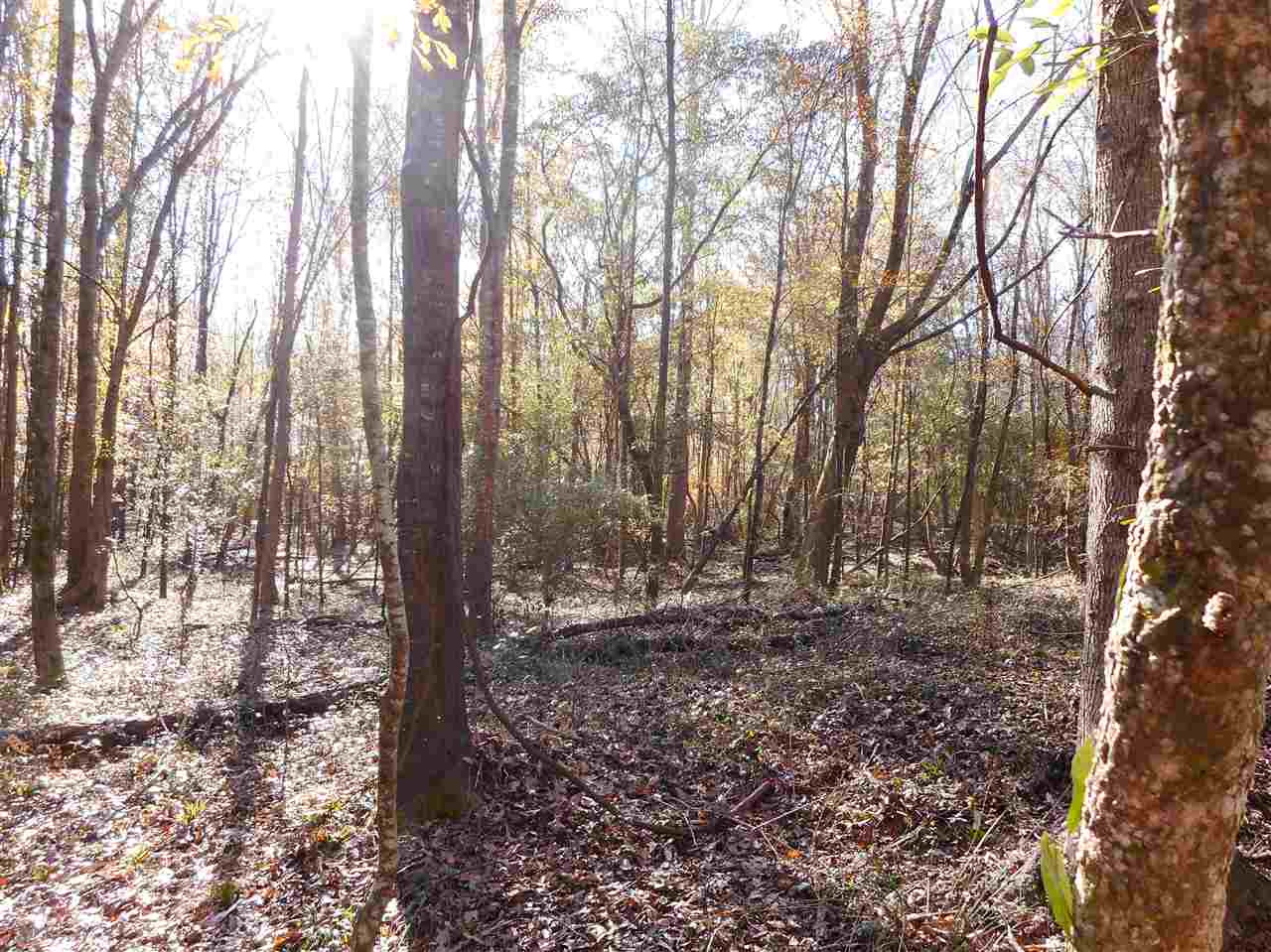 0 Munn Road Hickory, MS 39332 - Photo 9 of 49 Photo 10
