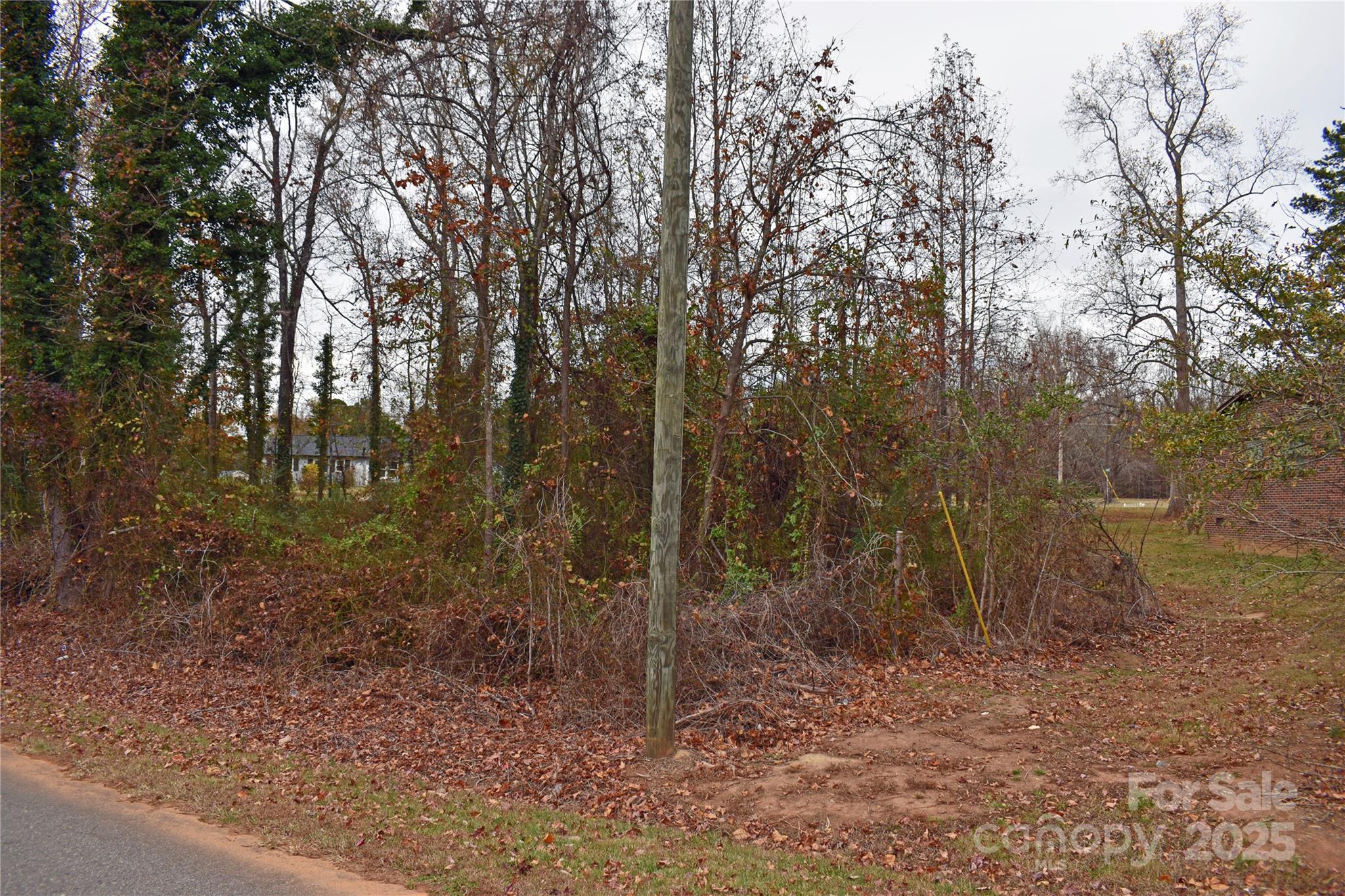 0 Horseshoe Lake Road Lincolnton, NC 28092 - Photo 2 of 8