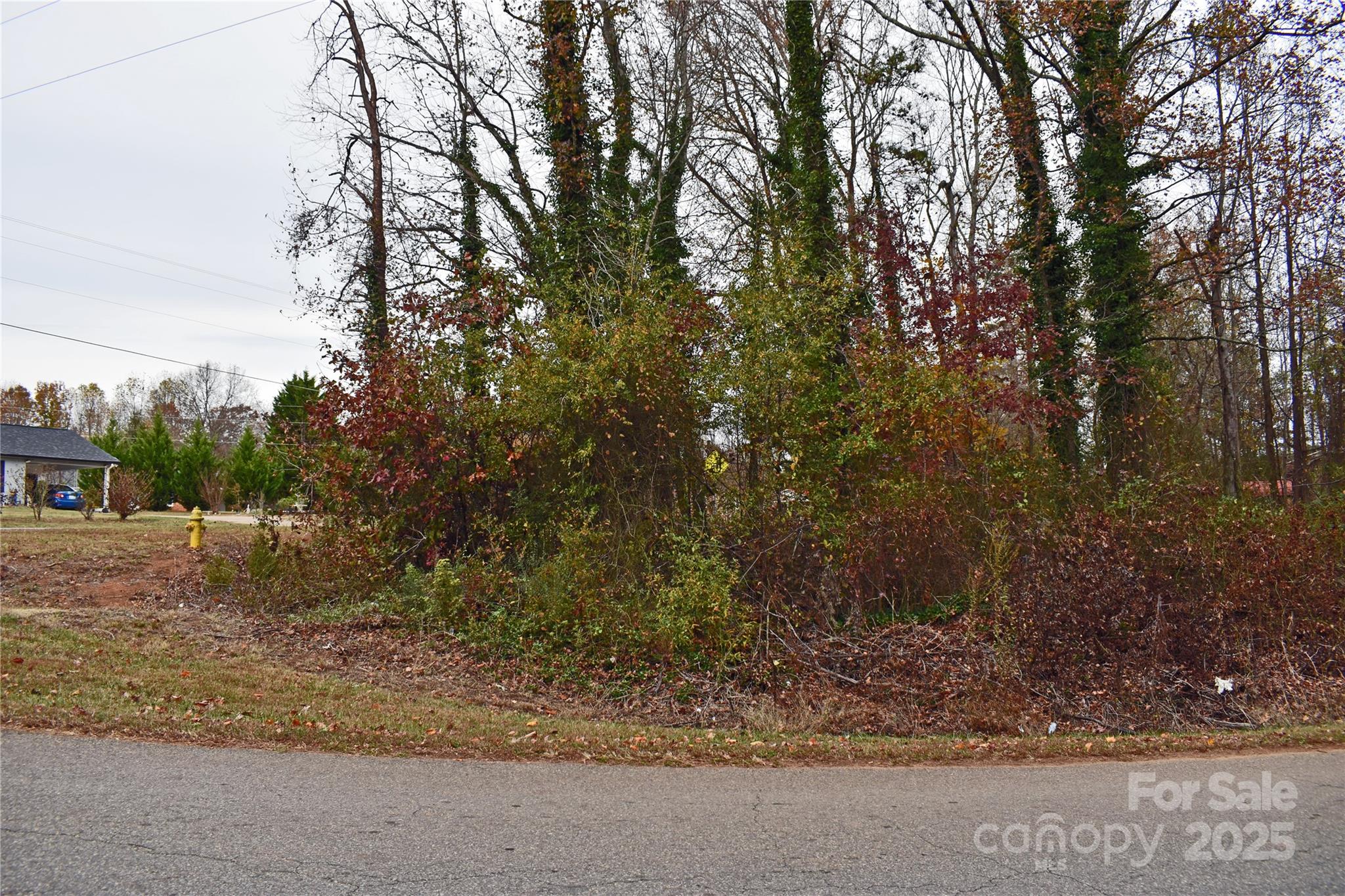 0 Horseshoe Lake Road Lincolnton, NC 28092 - Photo 4 of 8