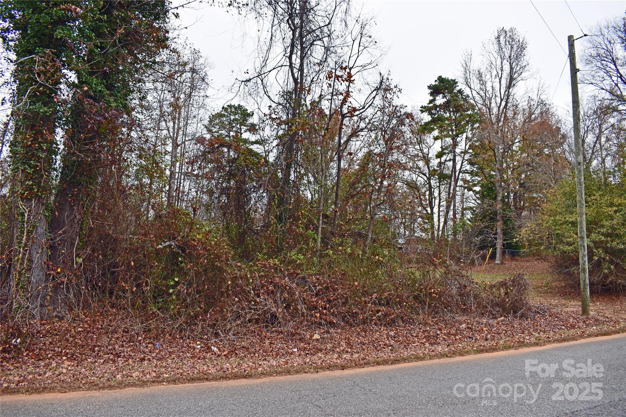 0 Horseshoe Lake Road Lincolnton, NC 28092 - Photo 5 of 8