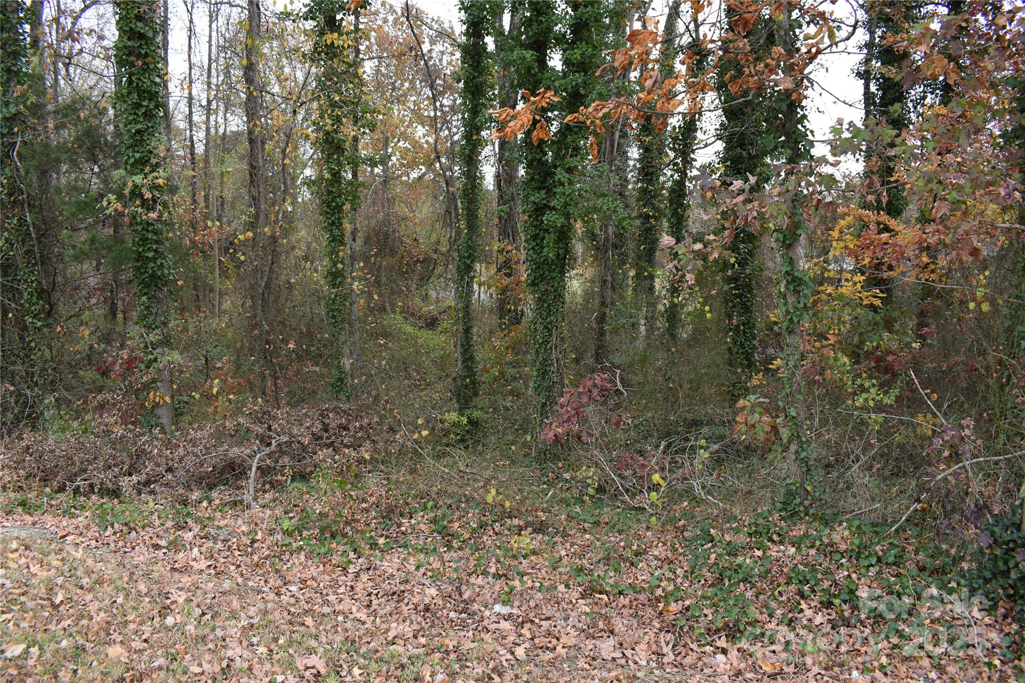 0 Horseshoe Lake Road Lincolnton, NC 28092 - Photo 6 of 8