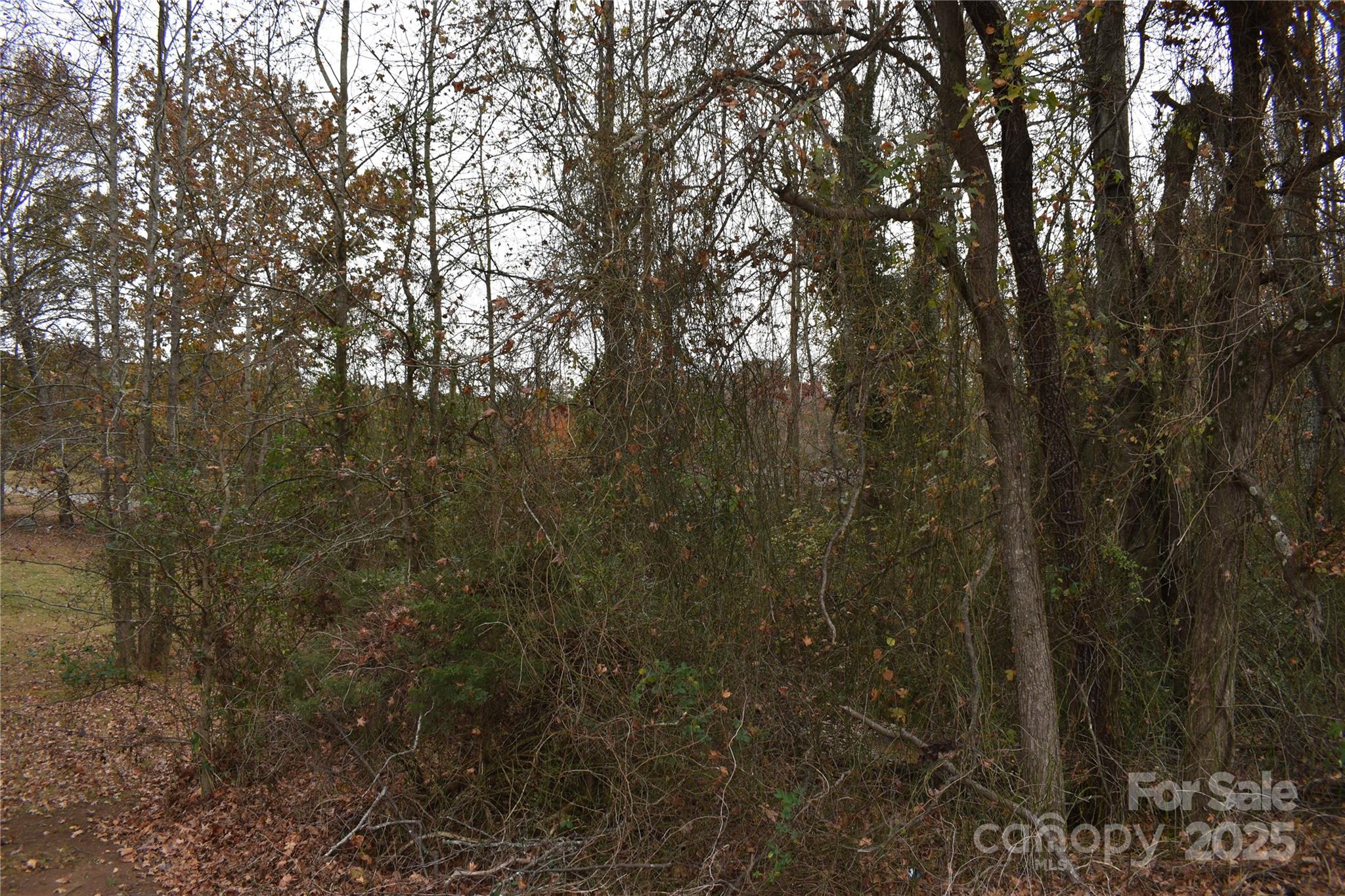 0 Horseshoe Lake Road Lincolnton, NC 28092 - Photo 7 of 8