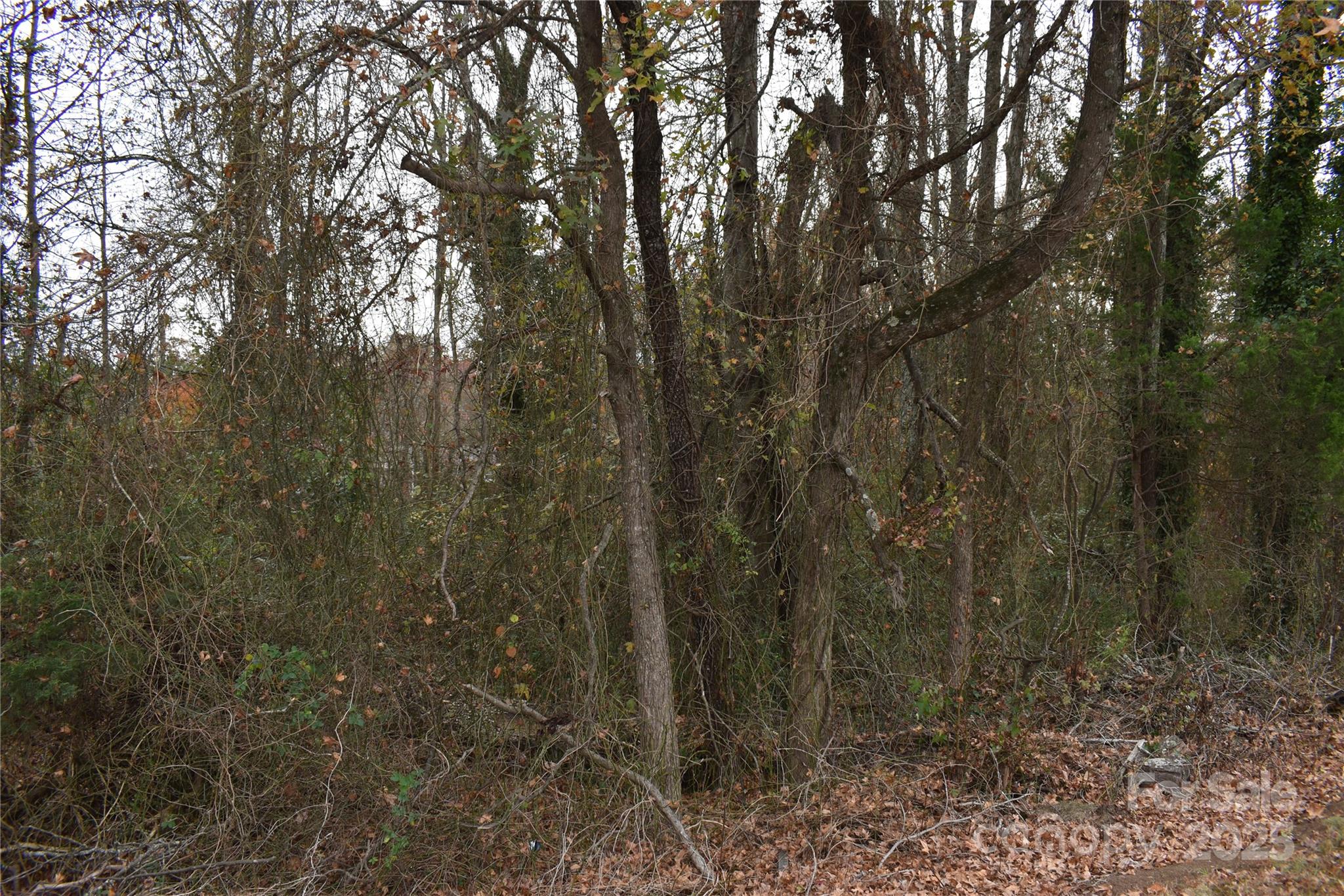 0 Horseshoe Lake Road Lincolnton, NC 28092 - Photo 8 of 8