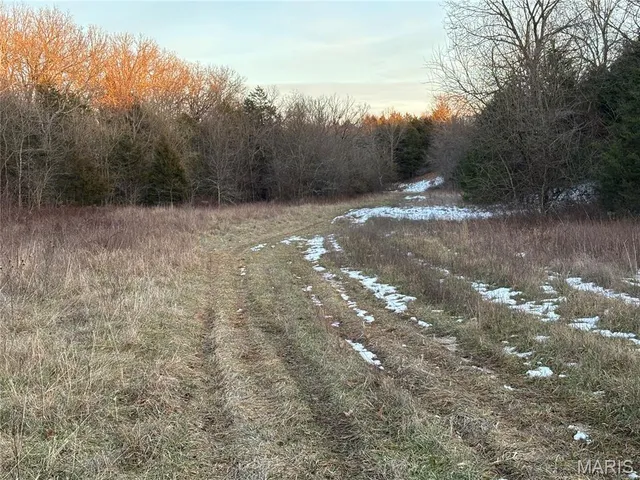 $650,000 | 13449 Highway J Conway Mo 65632, Conway, MO 65632