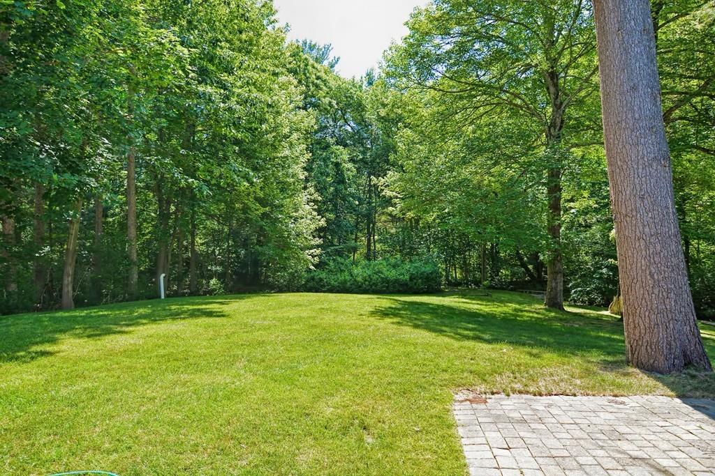 35 Poskus Street Stoughton, MA 02072 - Photo 38 of 40 Gallery Image 38