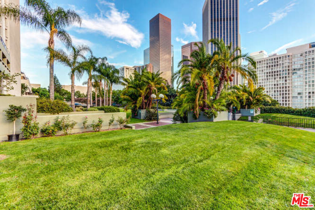 880 West 1st Street, Unit 604 Los Angeles, CA 90012 - Photo 40 of 60 a view of a yard and a palm tree