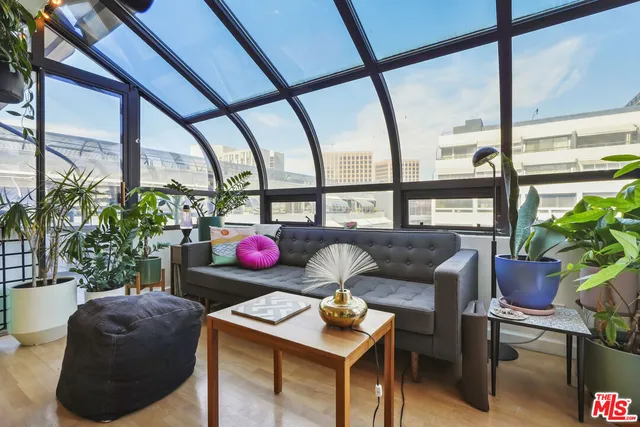 a room with furniture and potted plants