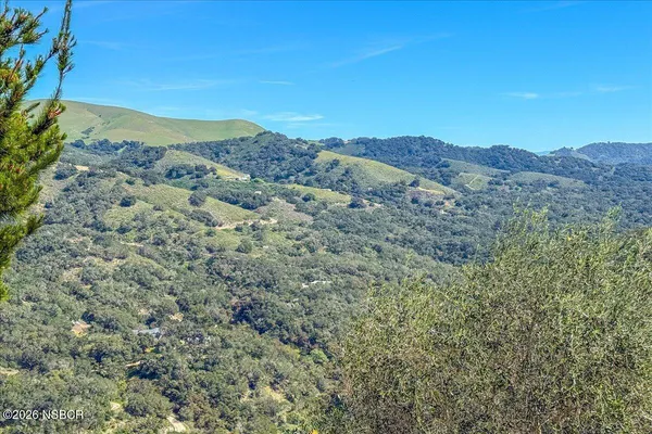 a view of a mountain in the distance in a field