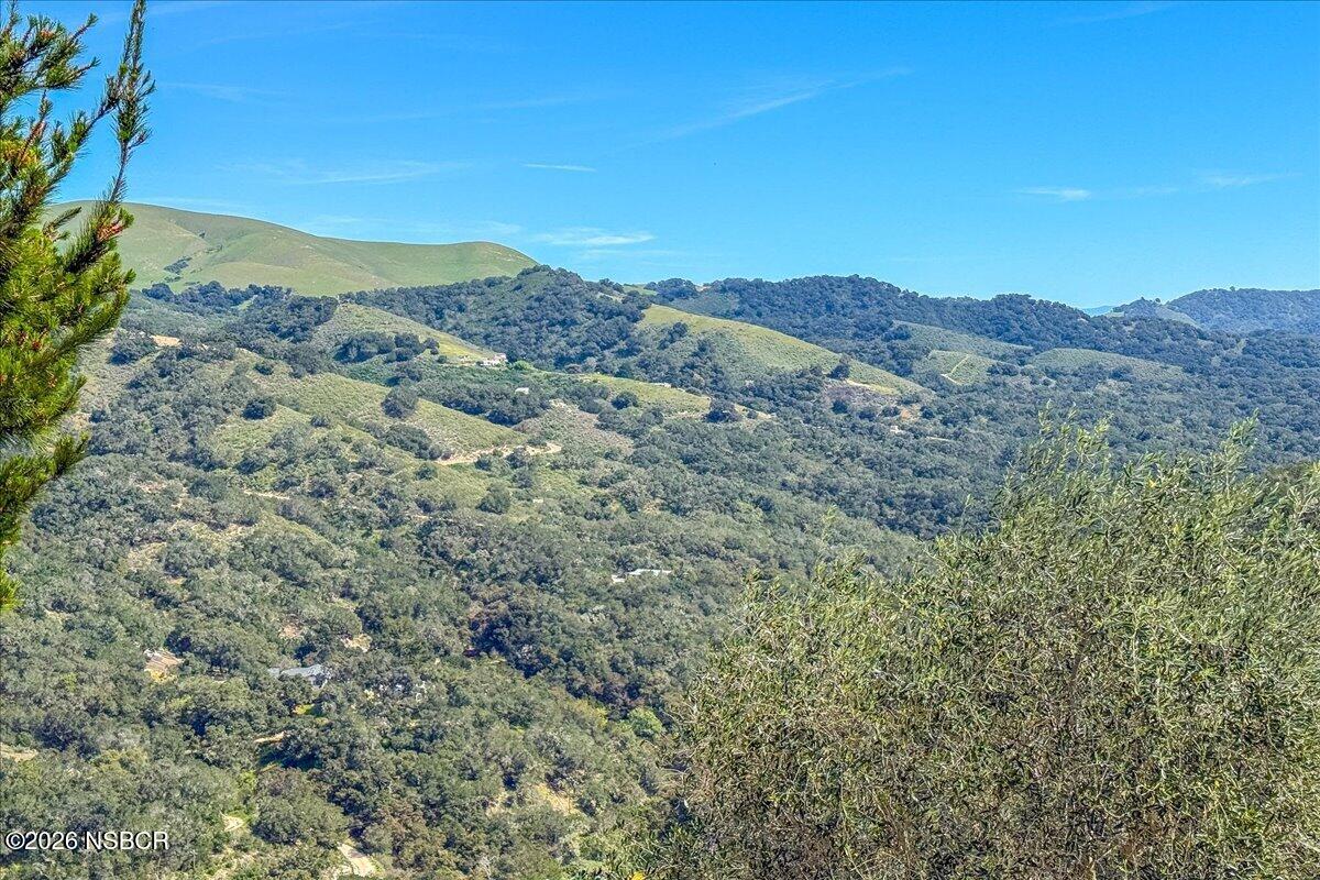 1012 Upper Los Berros Road Nipomo, CA 93444 - Photo 41 of 67 a view of a mountain range with lush green forest