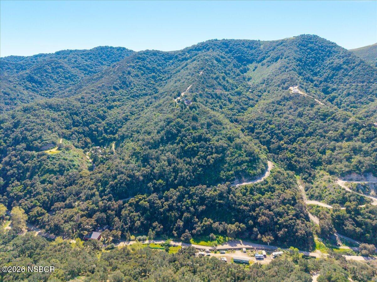 1012 Upper Los Berros Road Nipomo, CA 93444 - Photo 55 of 67 a view of a large tree