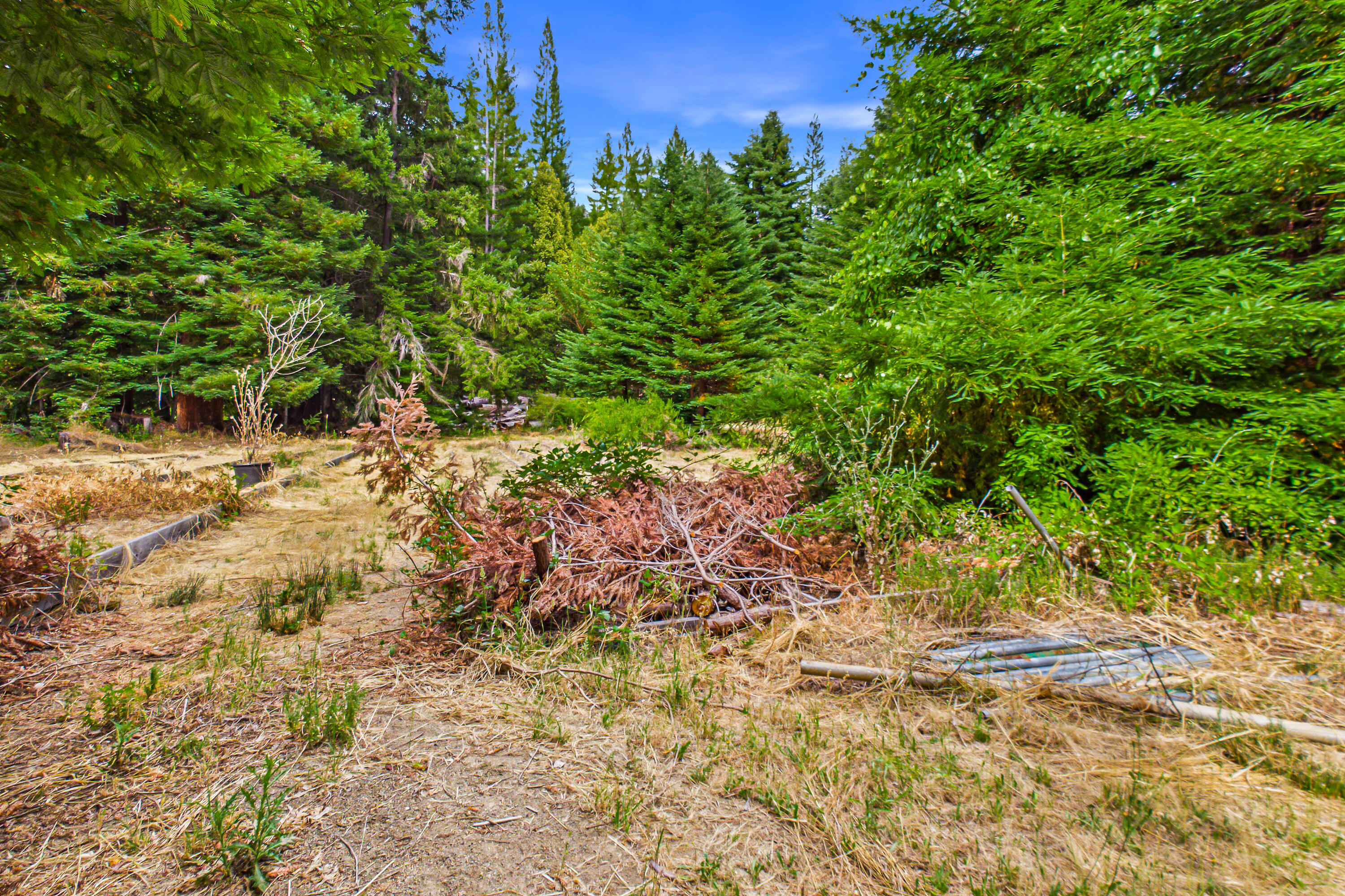 1005 Twin Trees Road Garberville, CA 95542 - Photo 69 of 84