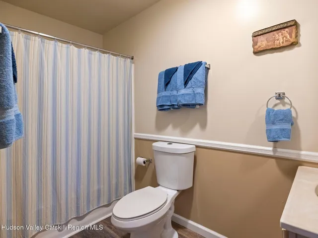 a white toilet sitting next to a shower curtain
